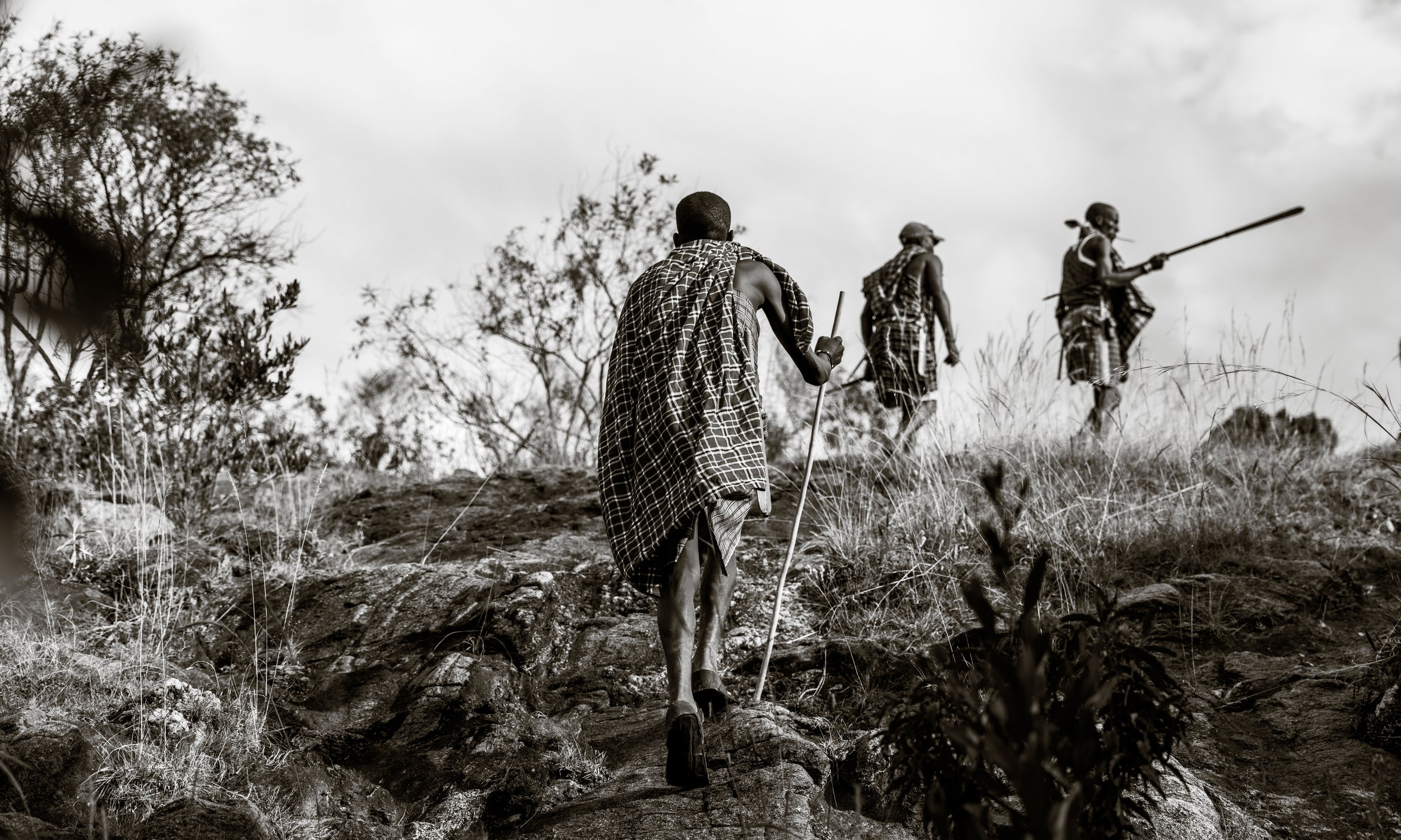 Walking with Maasai Warriors Maasai Mara Spear Throw Cattle Africa 23.jpg