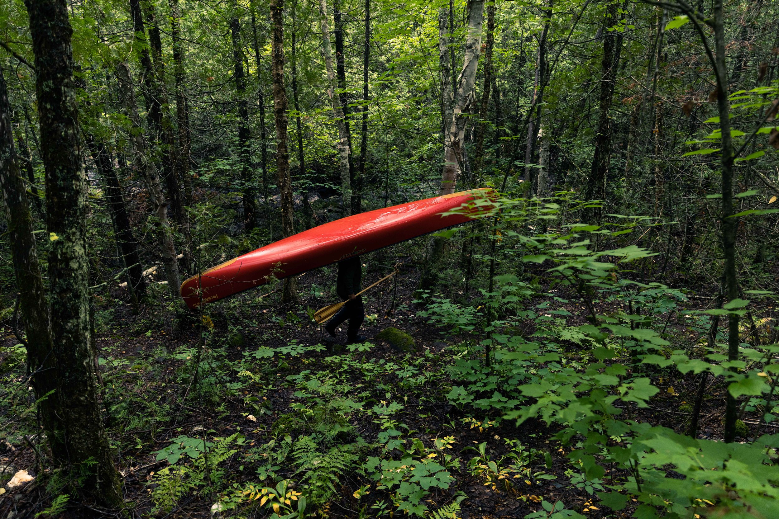 Canoeing Ontario Quetico Canoeing Canada 13.jpg
