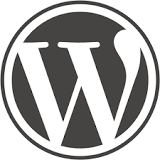 Wordpress is the most commonly used content management system, according to the survey of global asset managers.