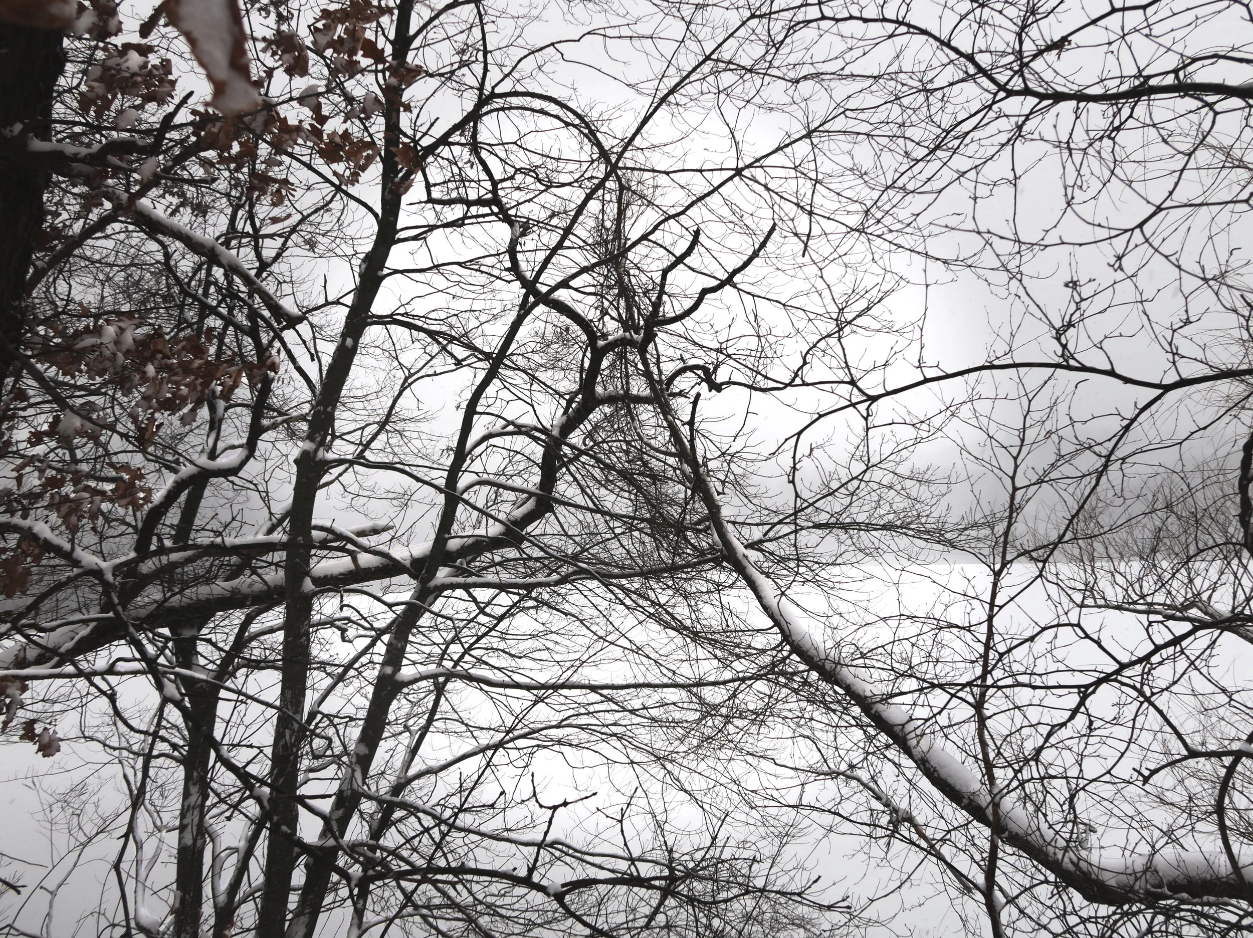 IMG_1764.jpg