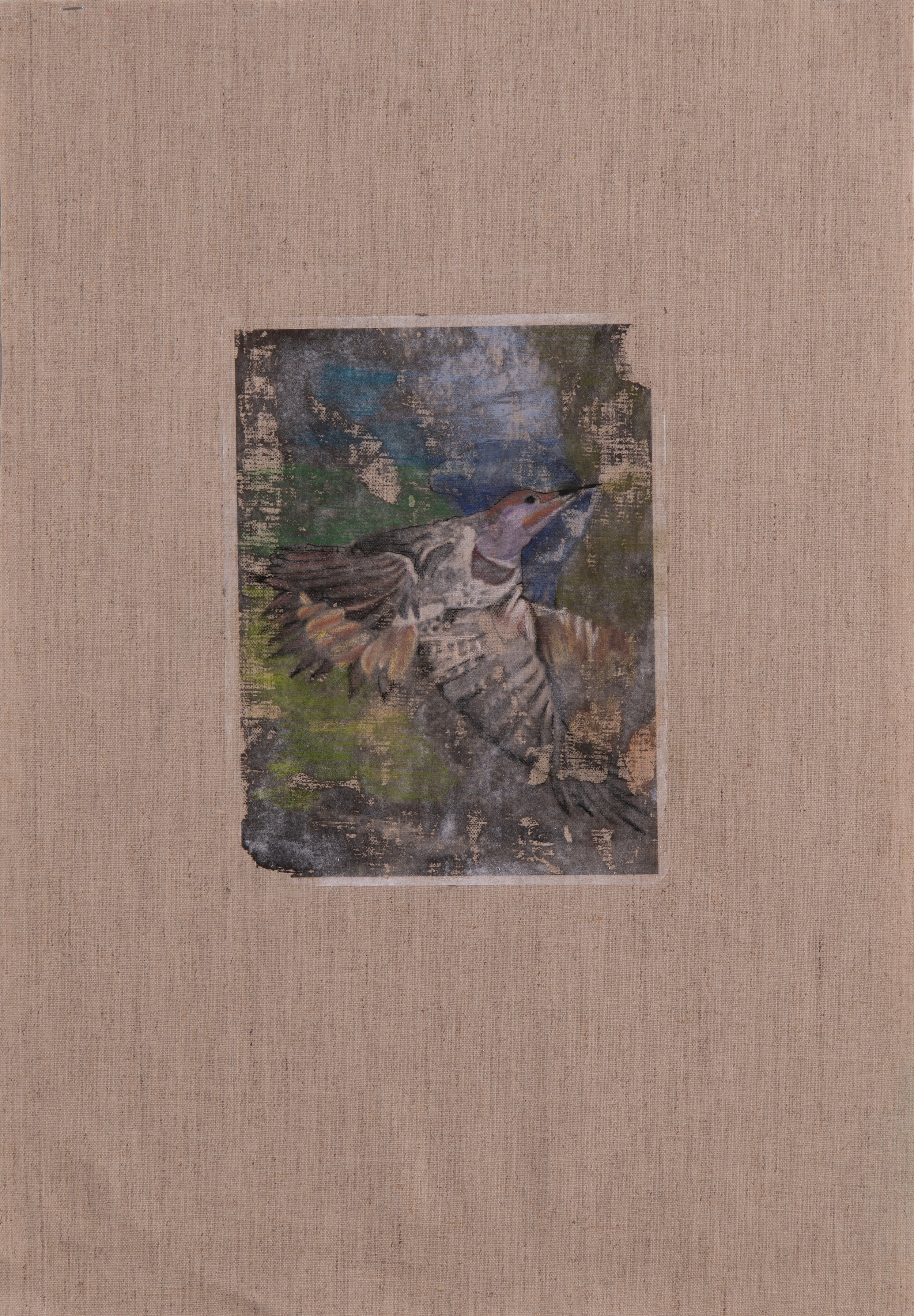 Small Bird 6