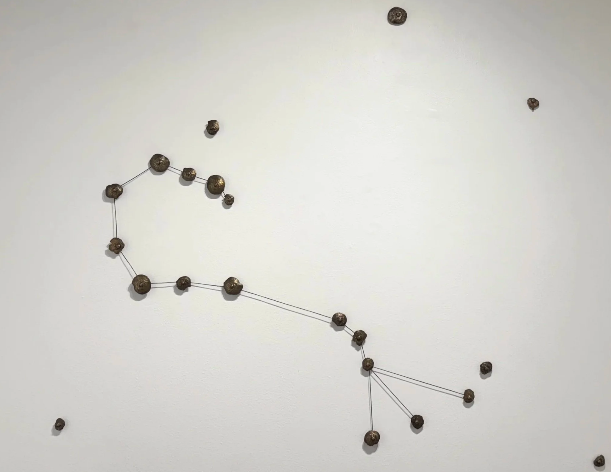 Scorpio Constellation