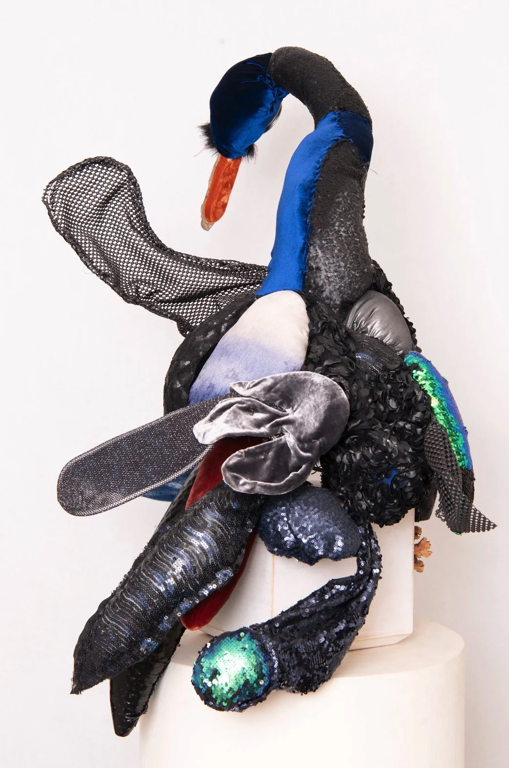 Black Swan Song
