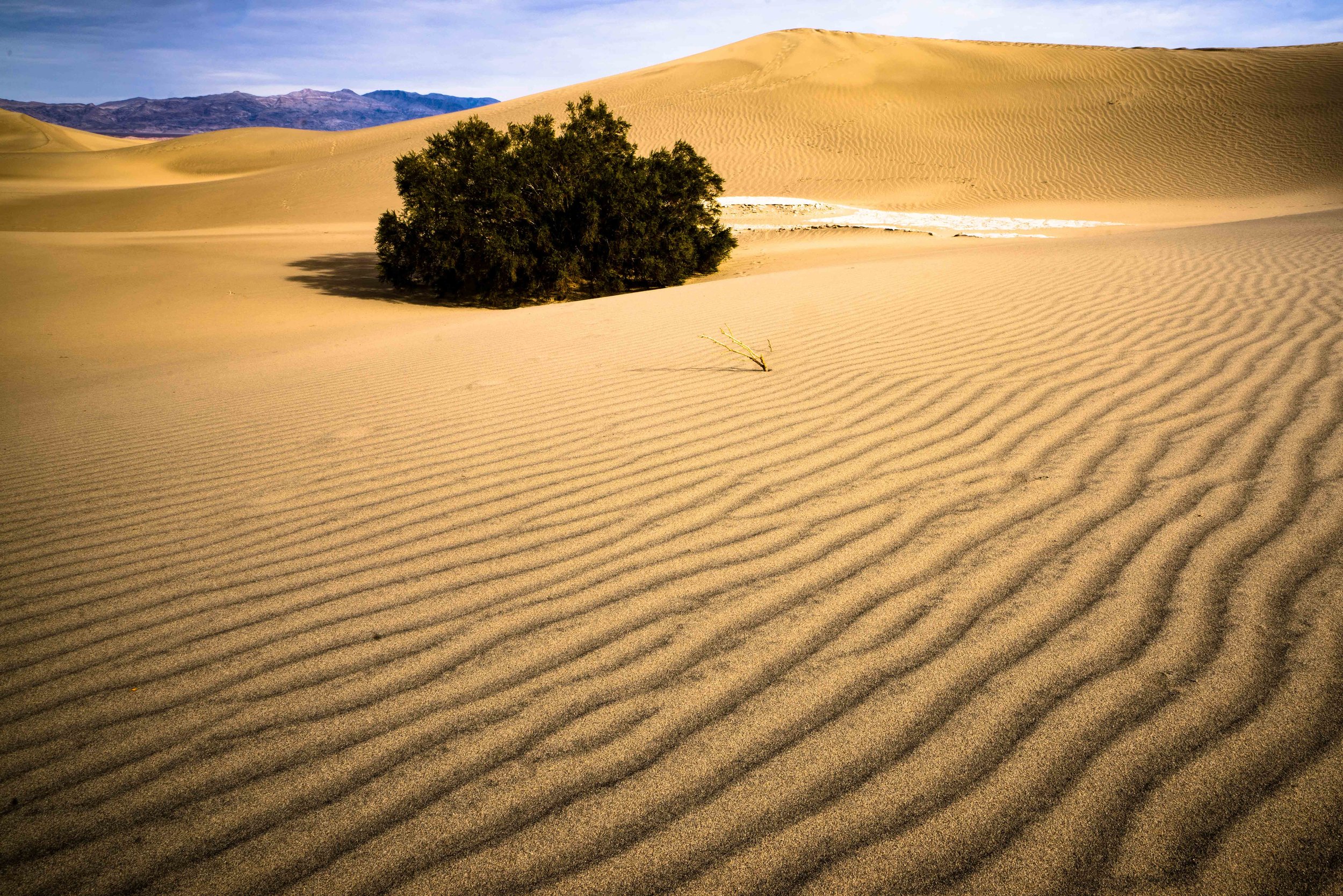 Death Valley 10.jpg
