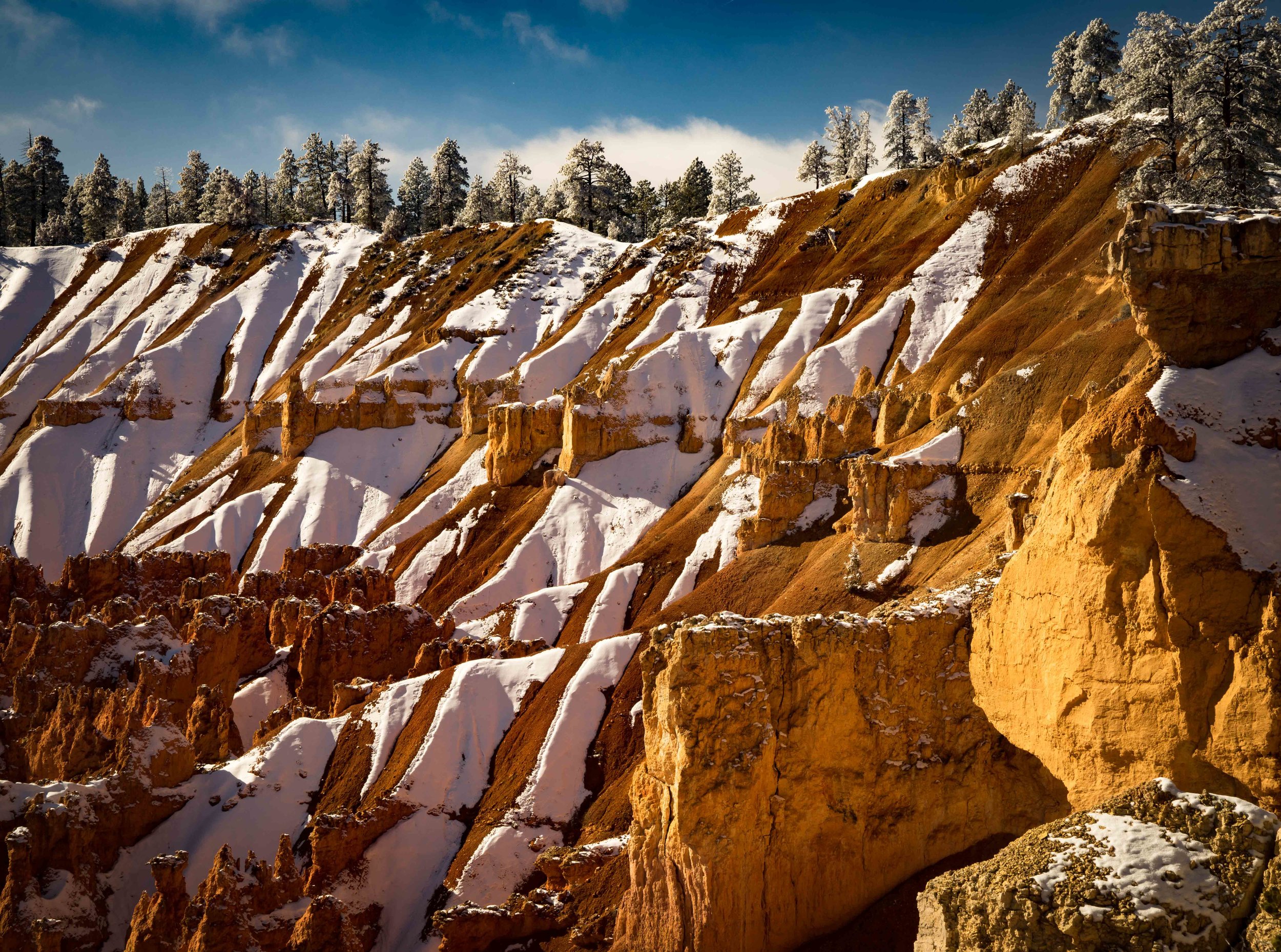 Bryce Canyon_-18.jpg