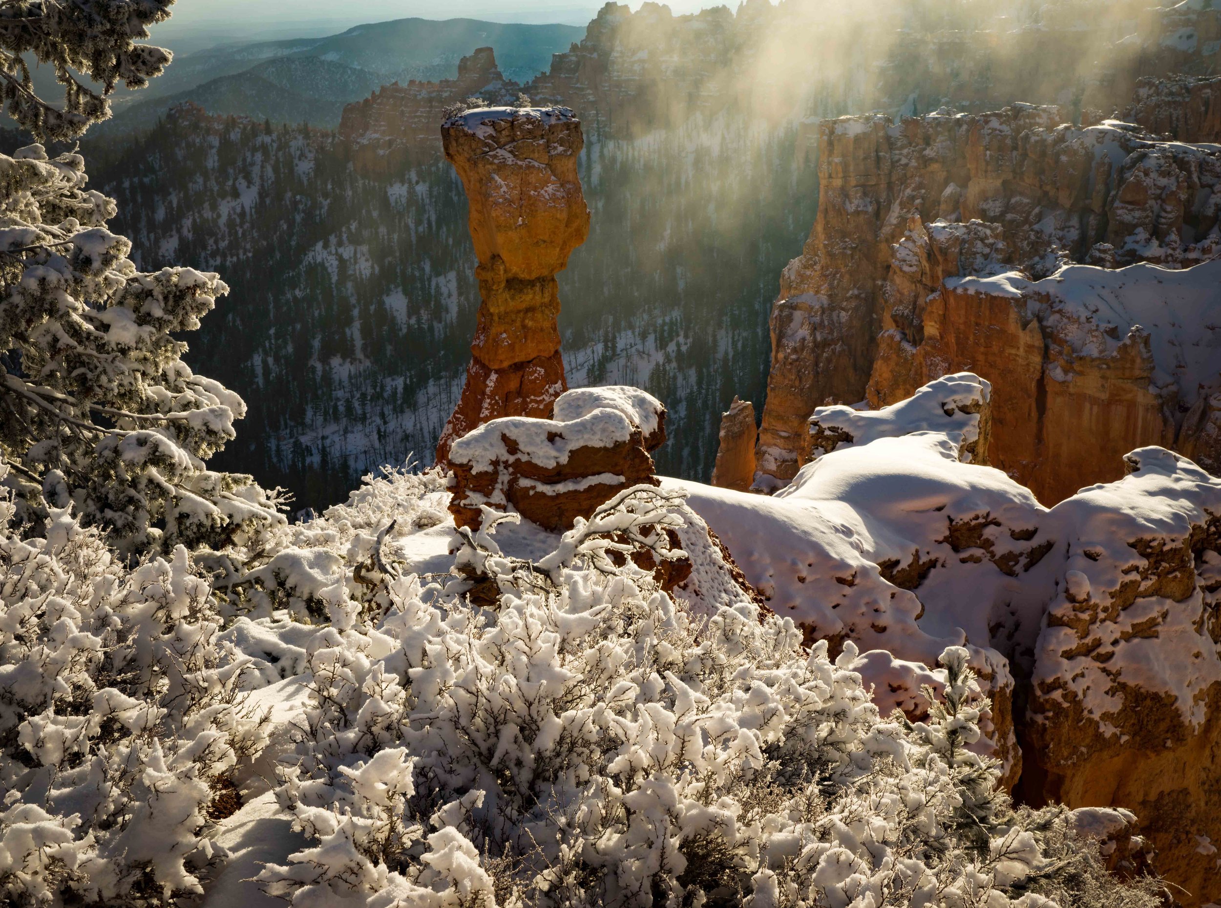 Bryce Canyon_-5.jpg