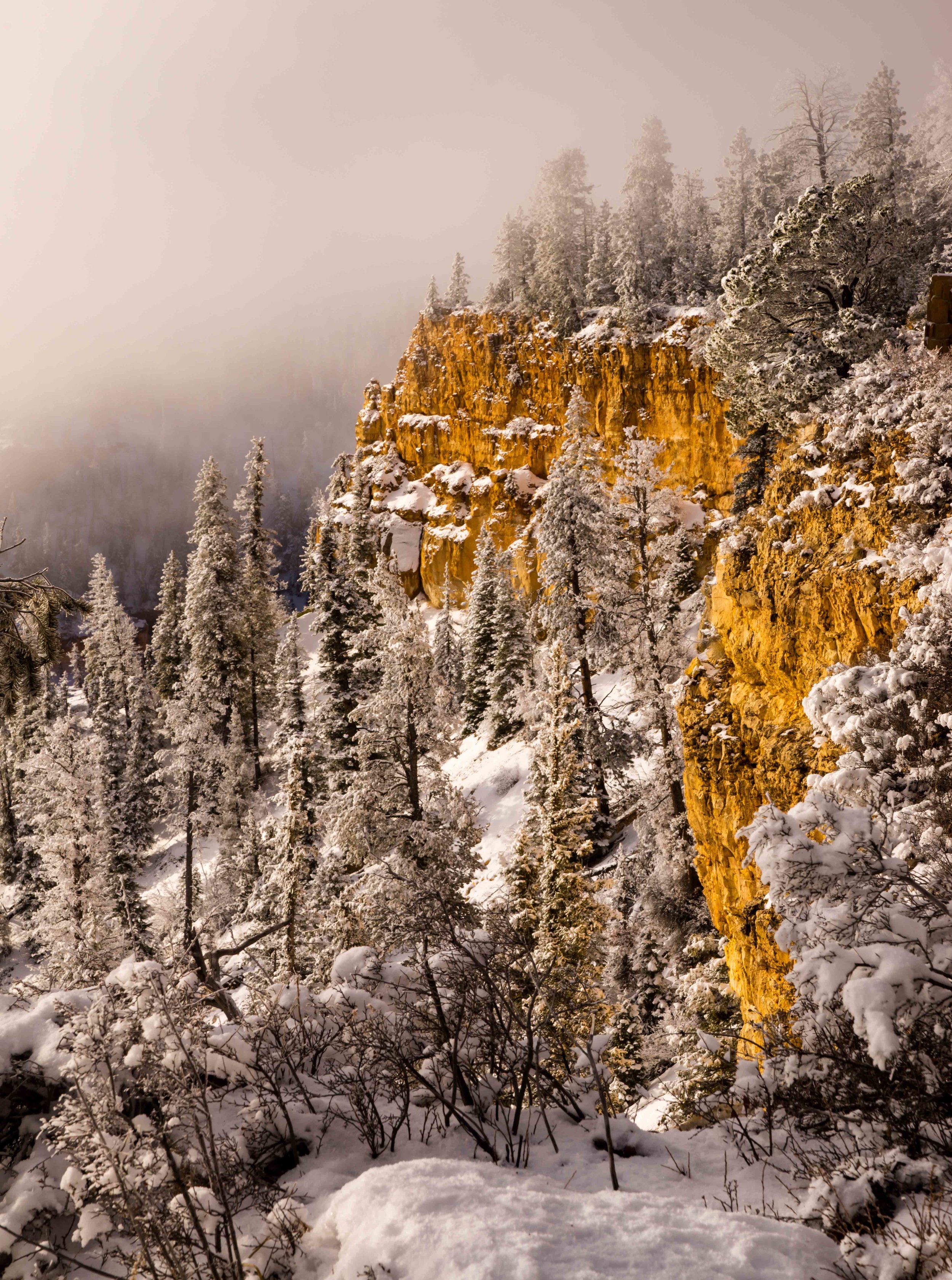 Bryce Canyon_-10.jpg