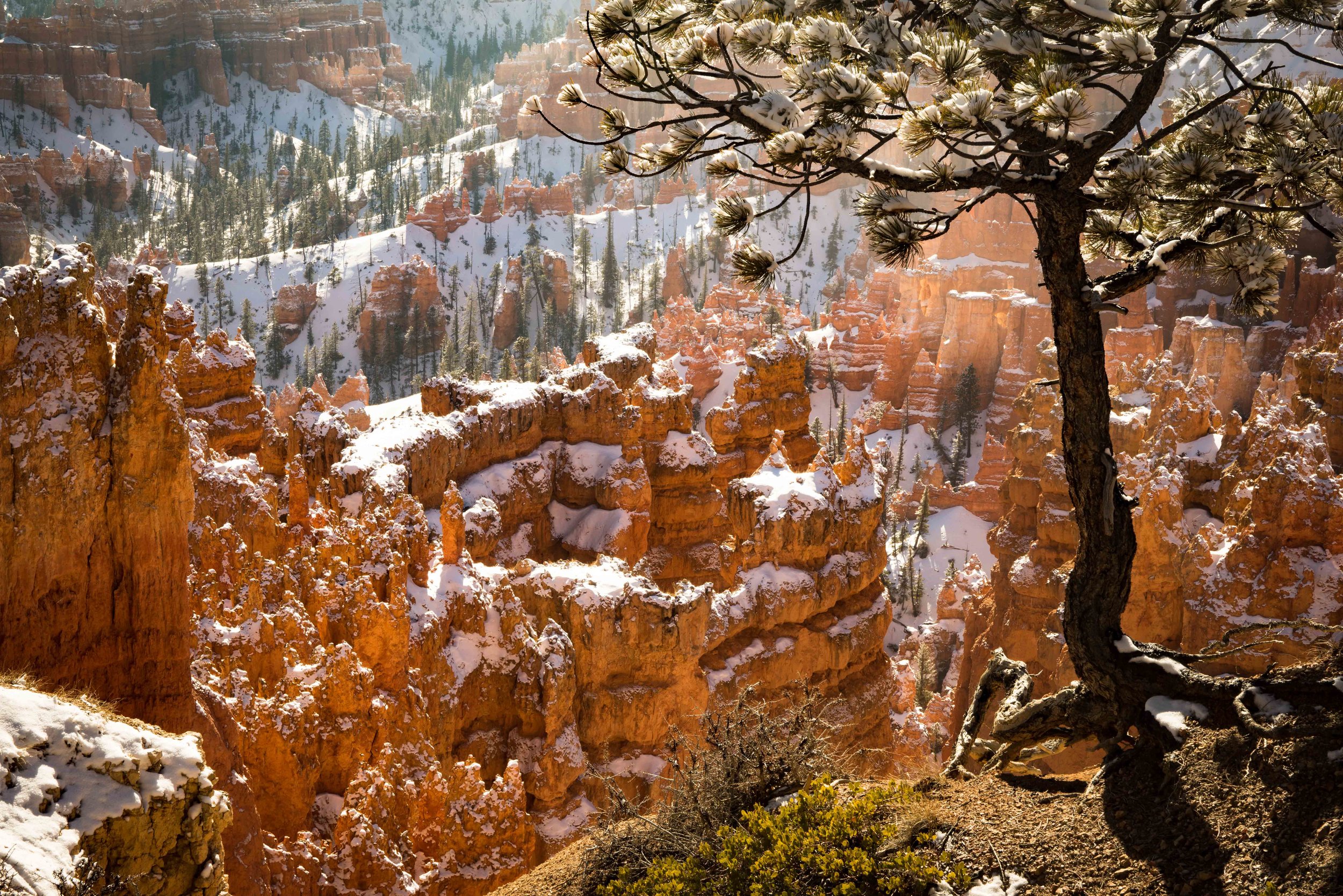 Bryce Canyon_-16.jpg