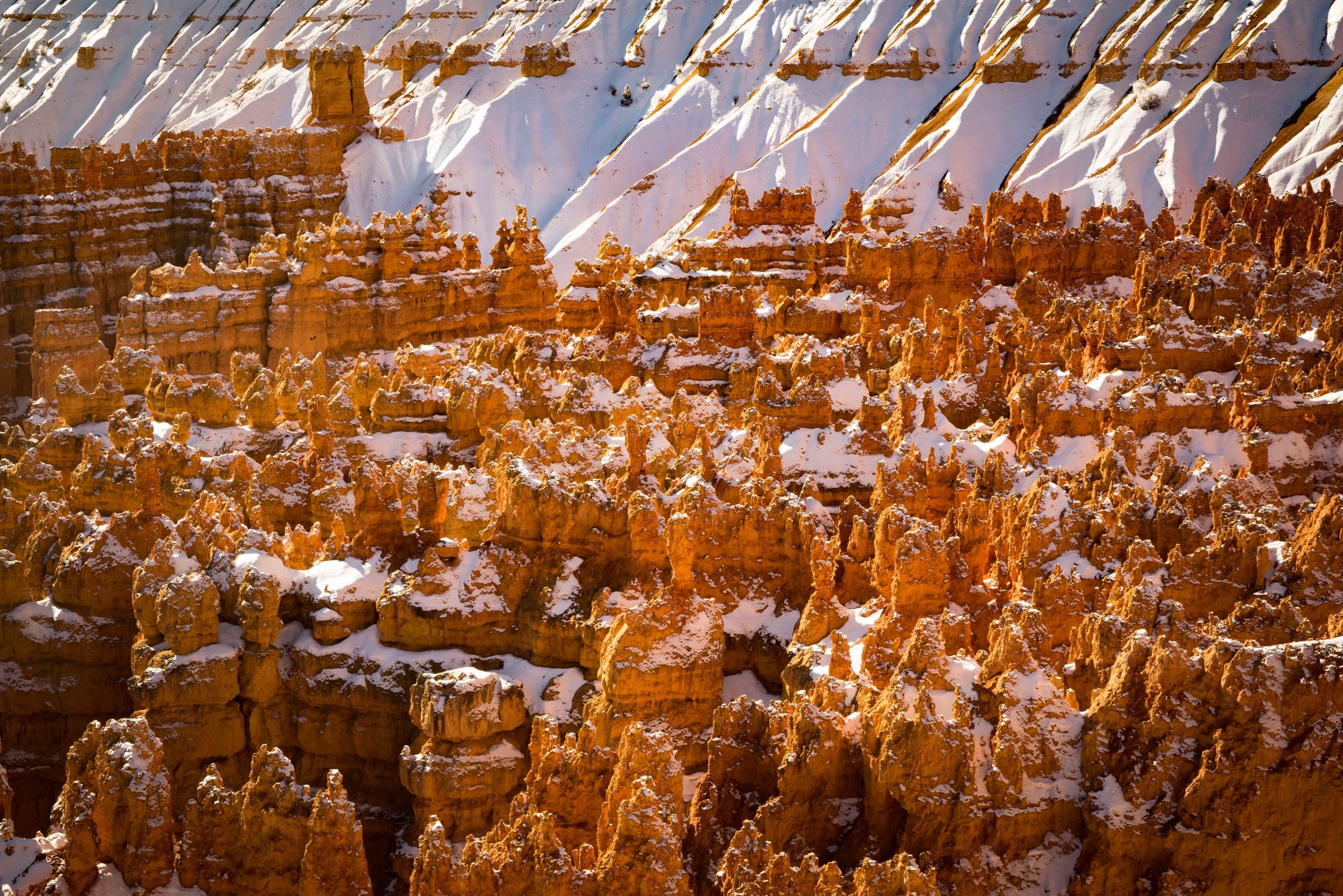 Bryce Canyon_-17.jpg