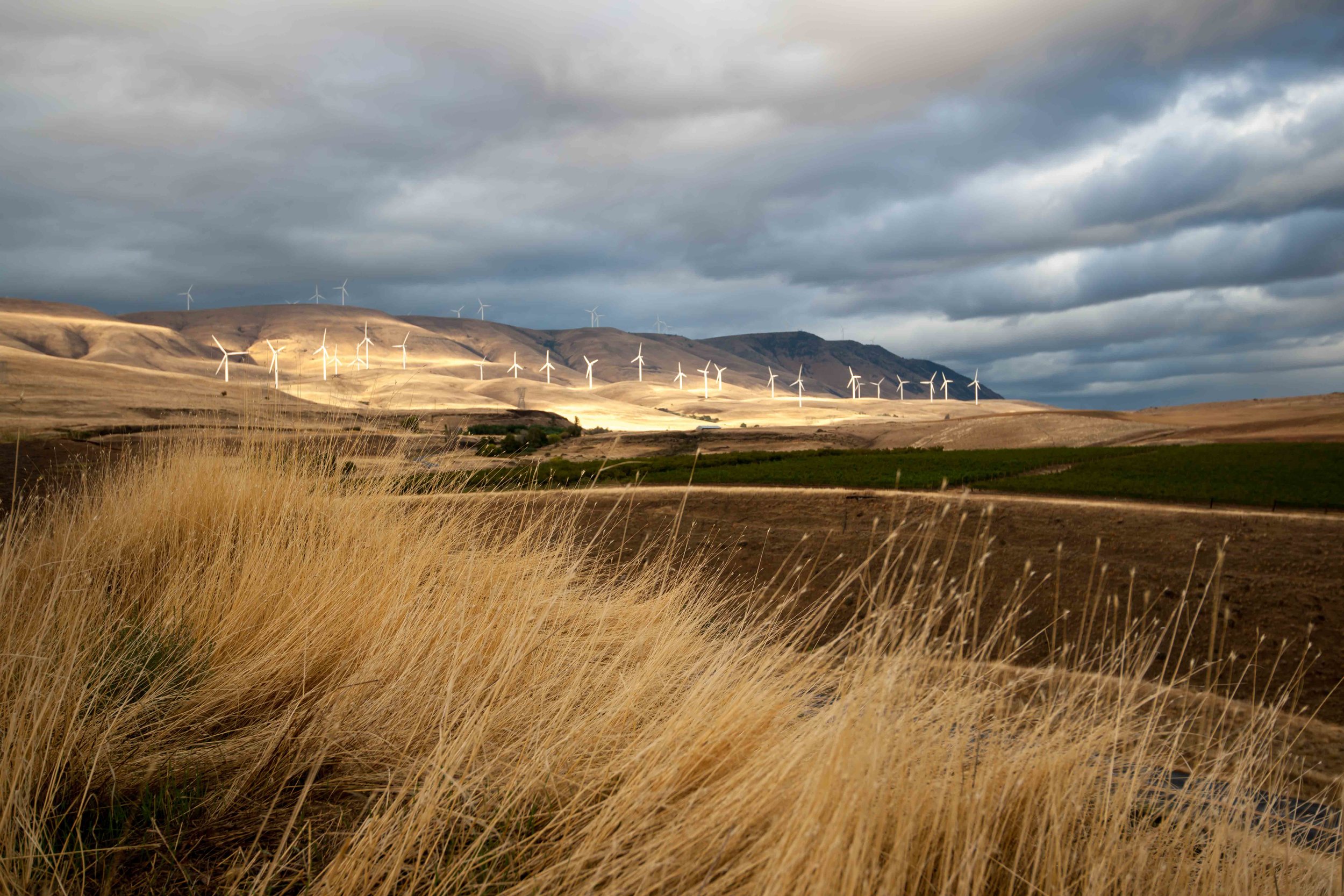 Palouse 4.jpg