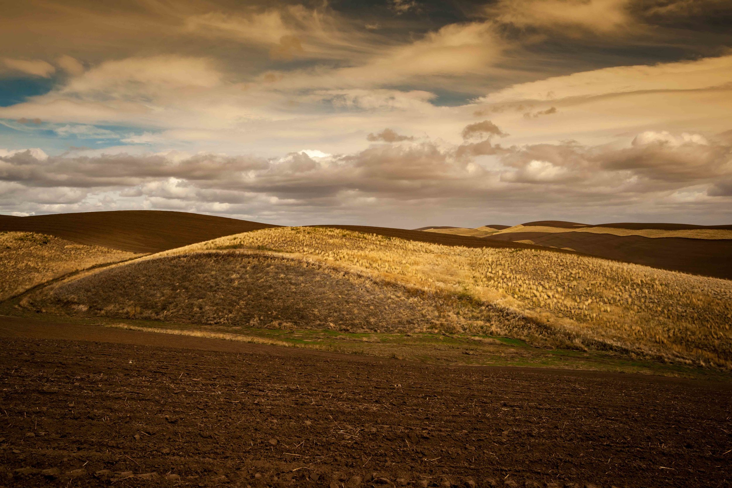 Palouse 4-7.jpg