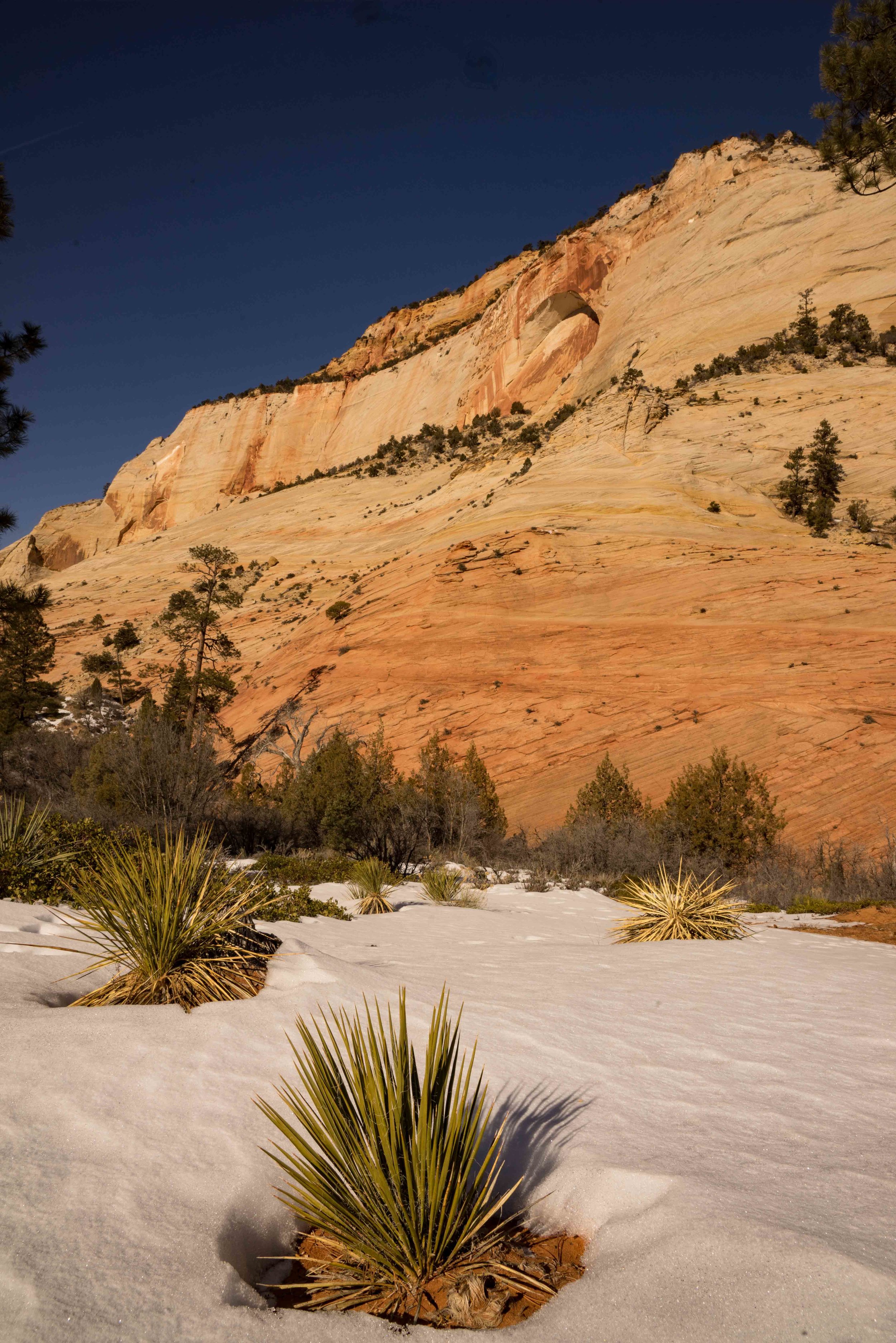 Zion 1-6.jpg