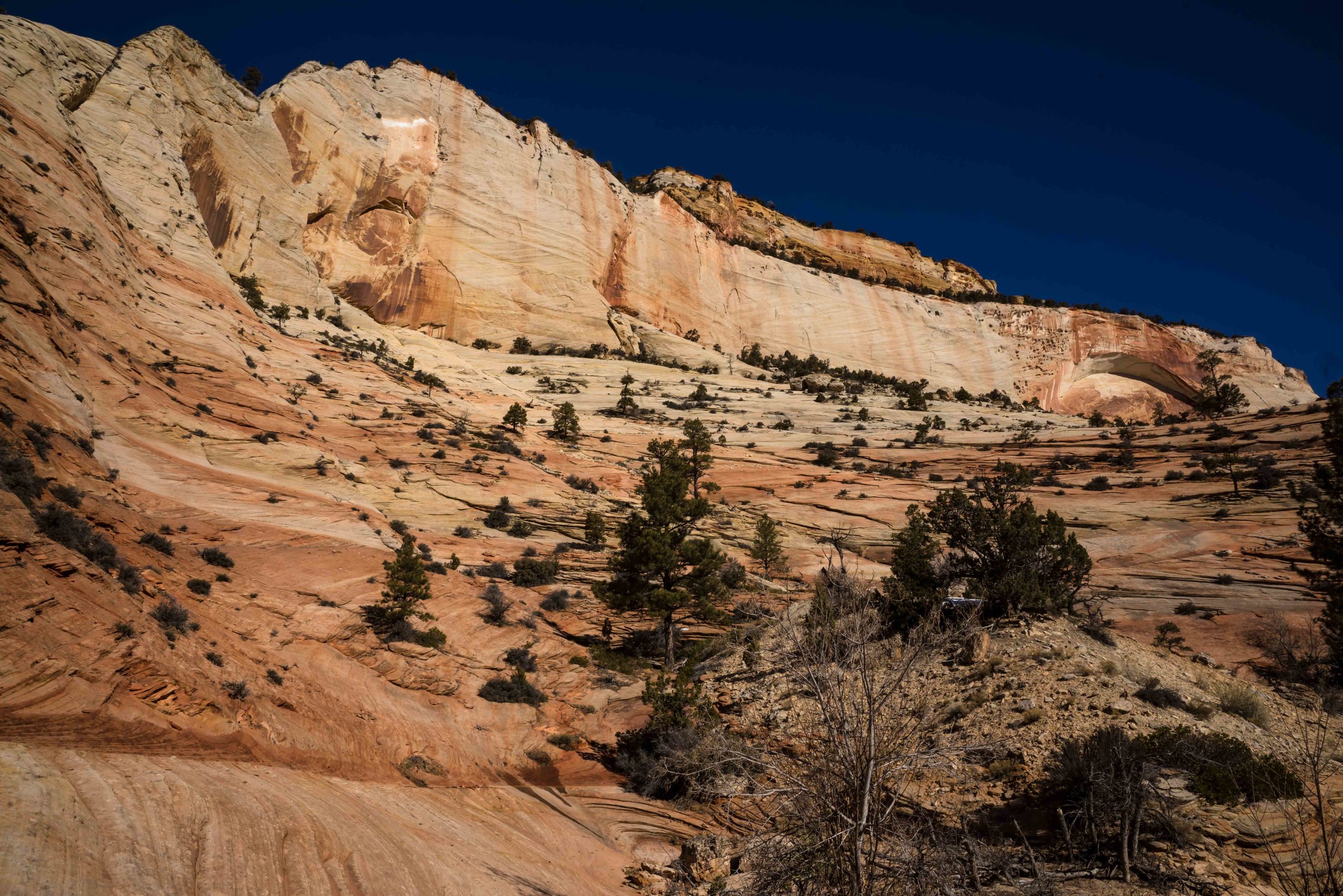 Zion 1-8.jpg