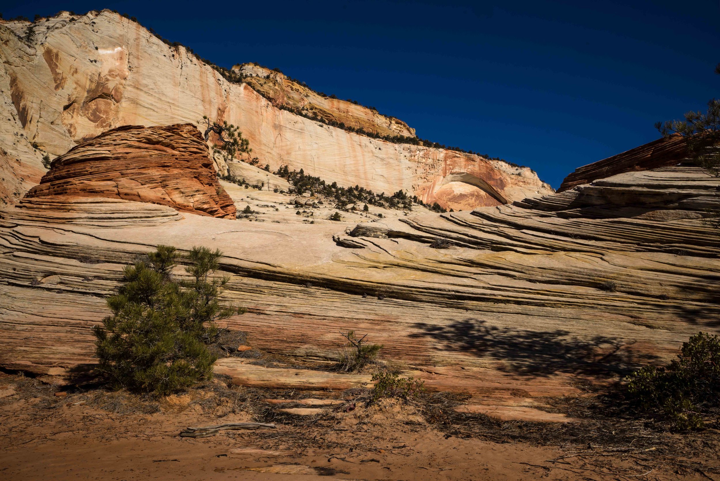 Zion 1-15.jpg