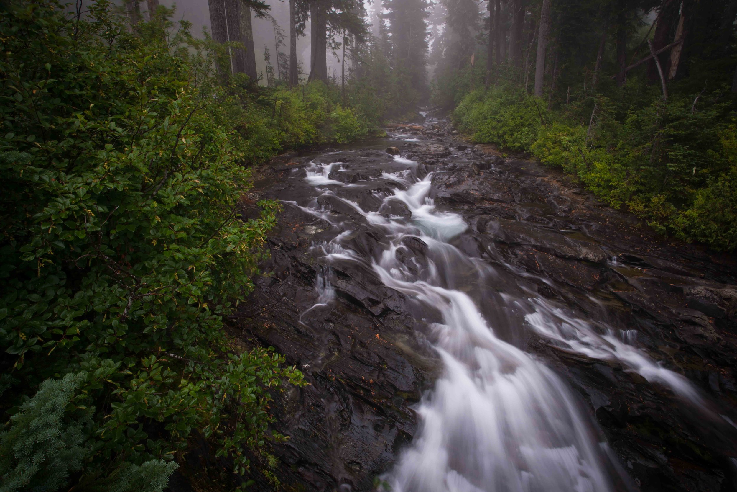 Mt Raineer 1-3.jpg