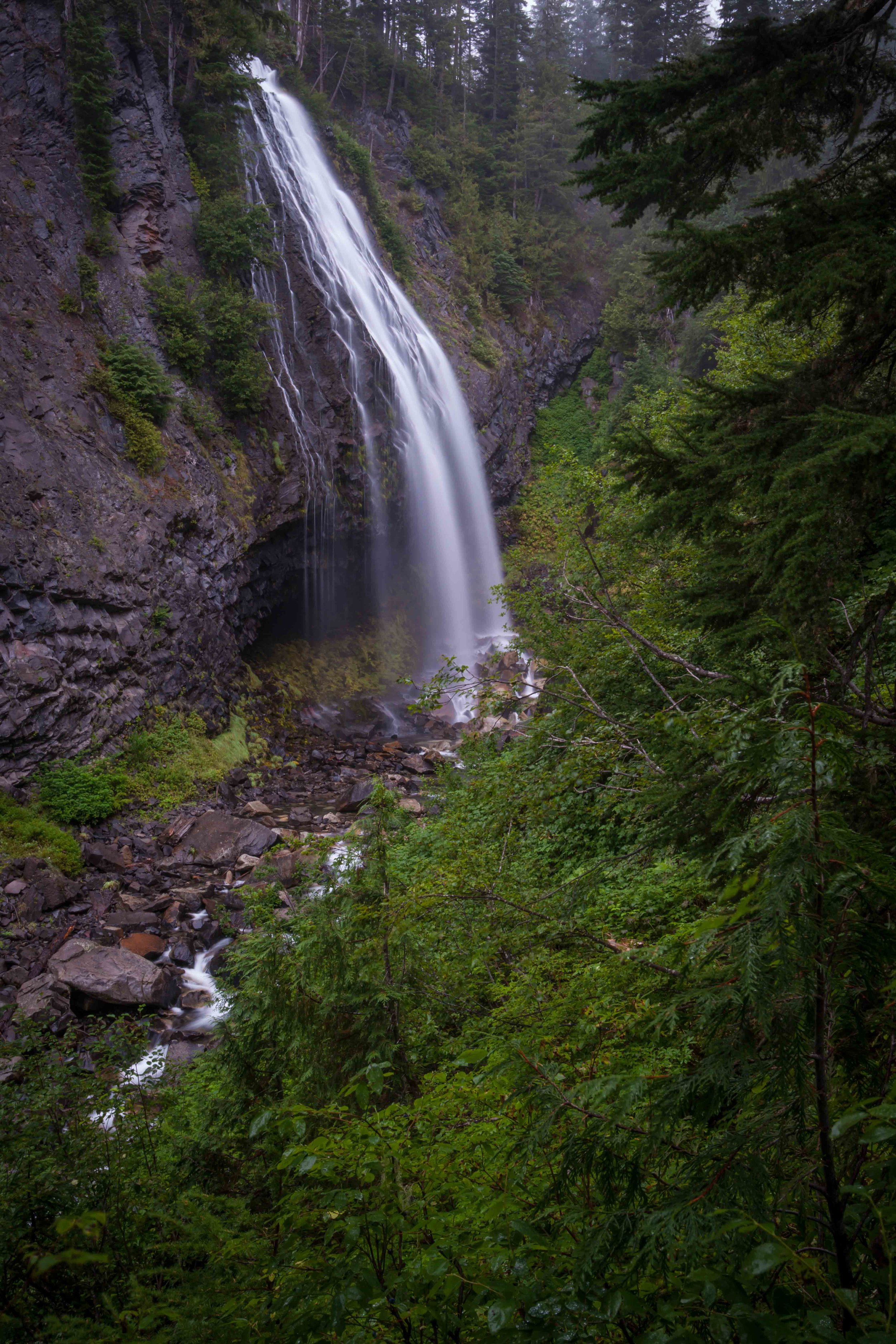 Mt Raineer 1-5.jpg