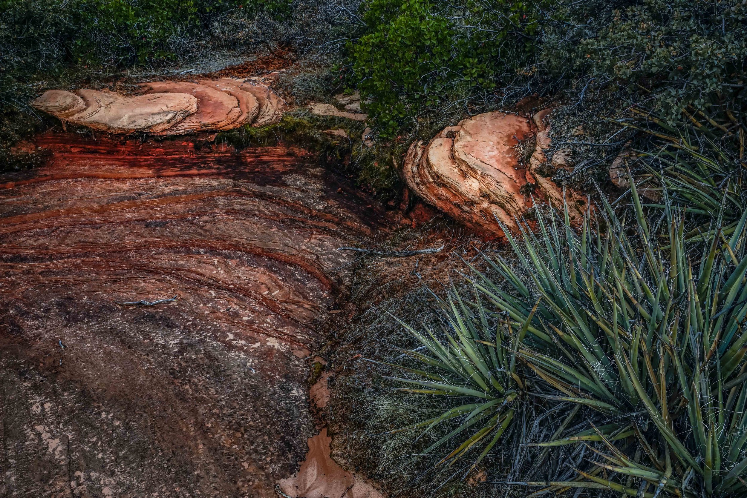 Zion 4-9.jpg