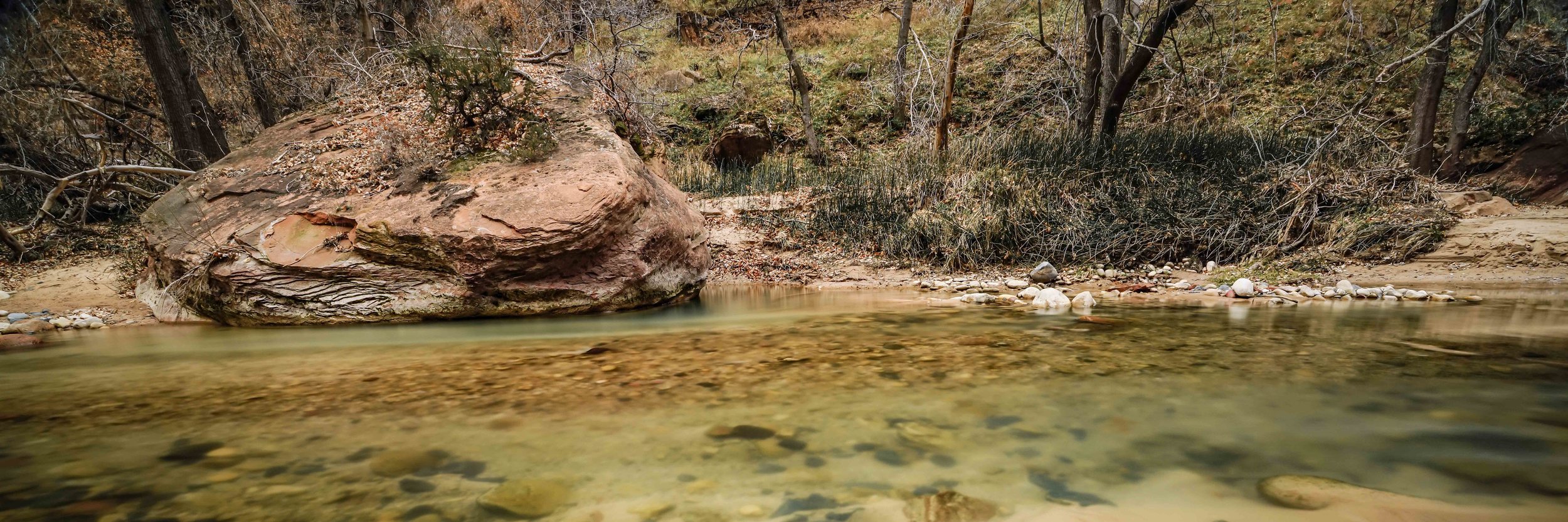 Zion 5-9.jpg