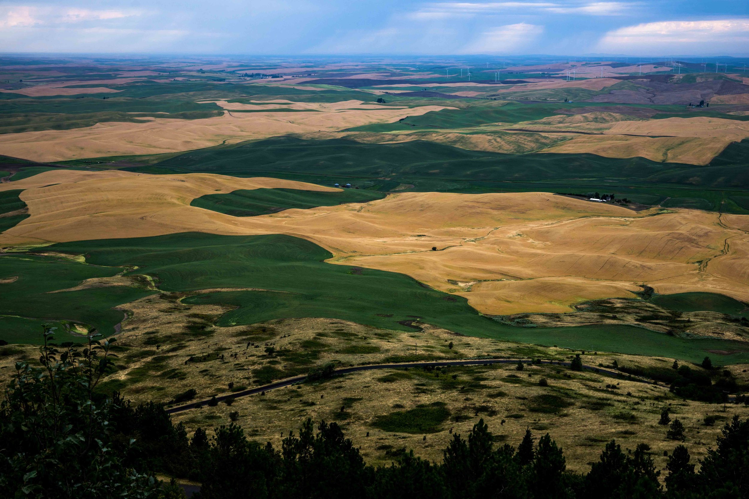 Palouse 5-9.jpg