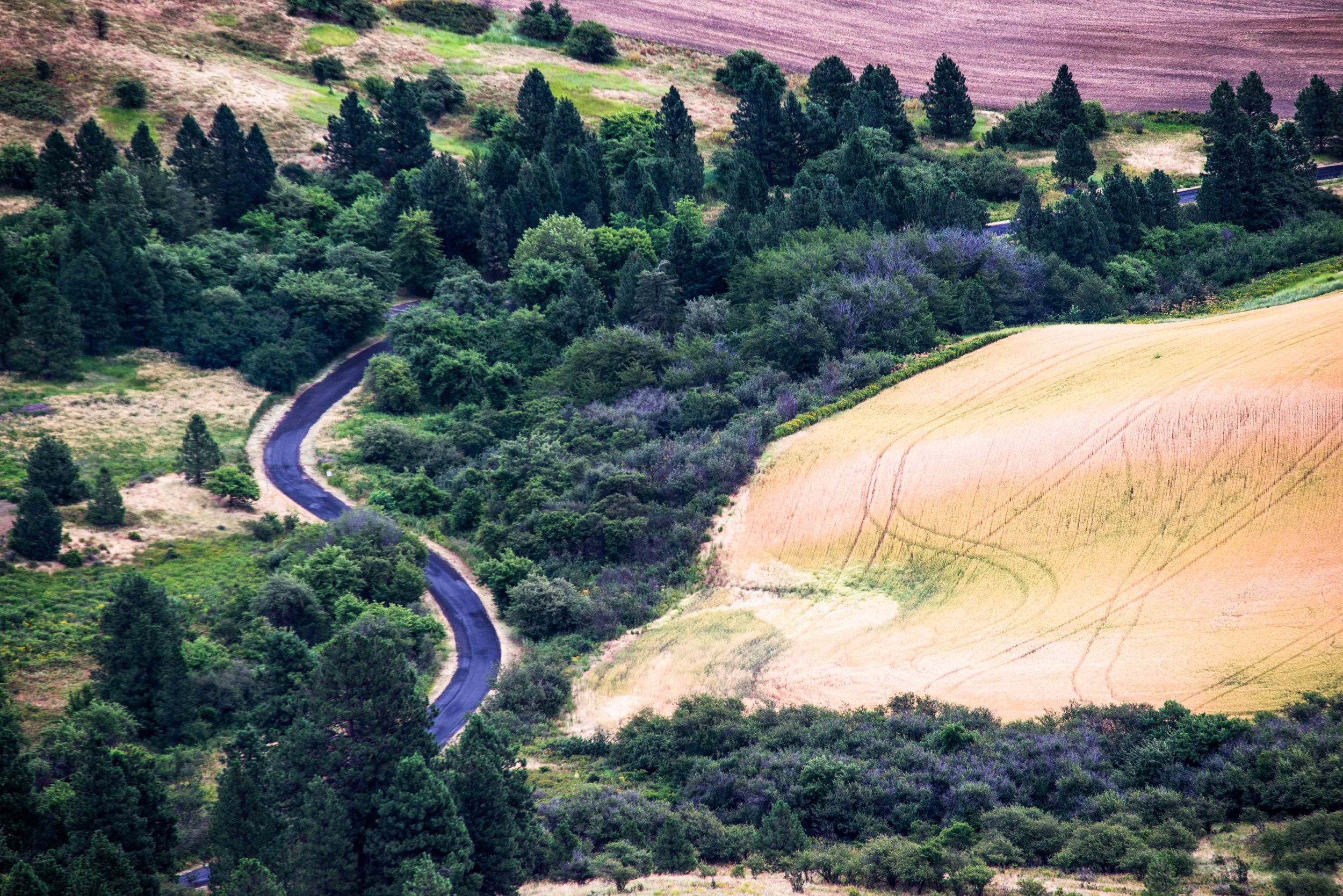 Palouse 5-14.jpg