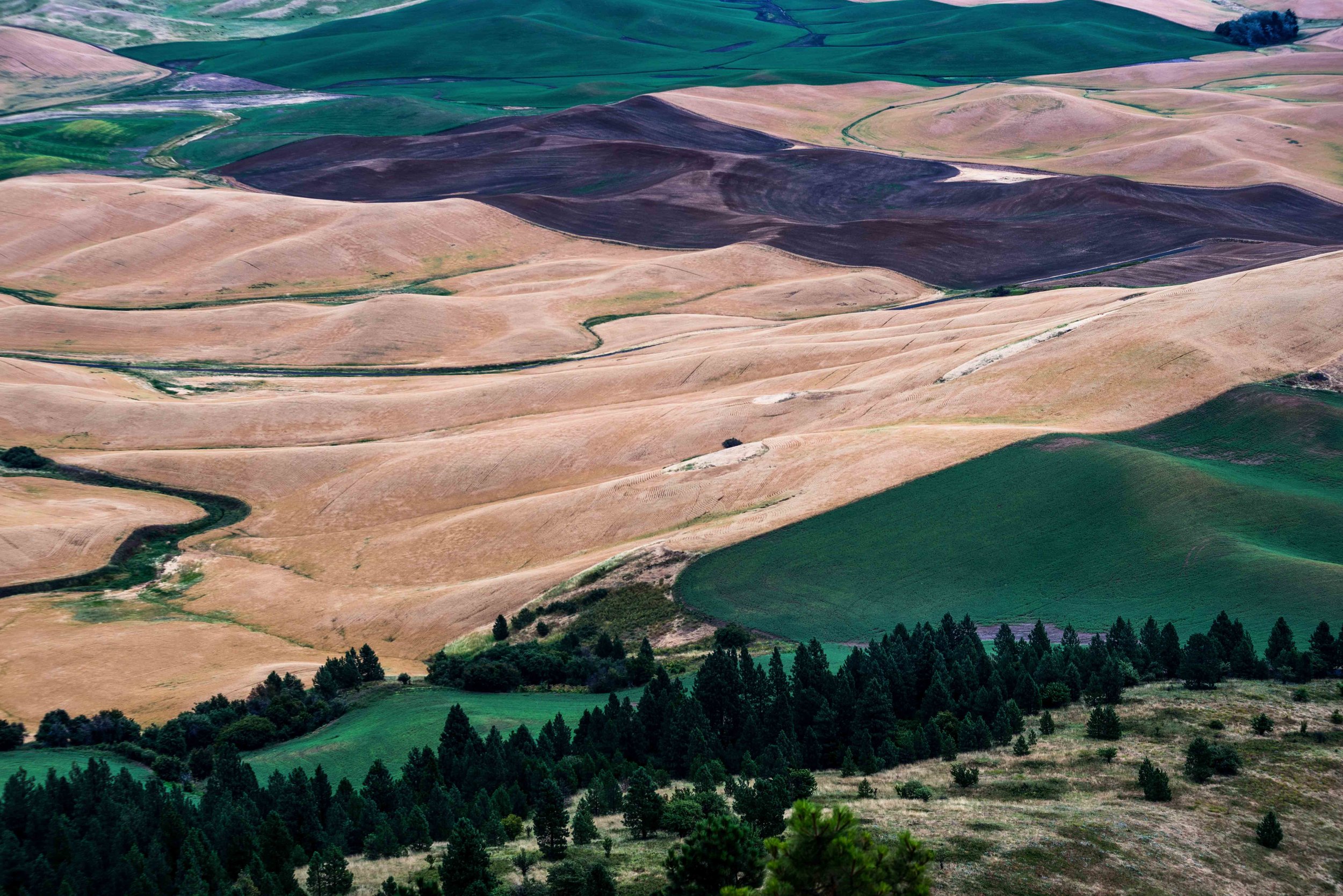 Palouse 5-20.jpg