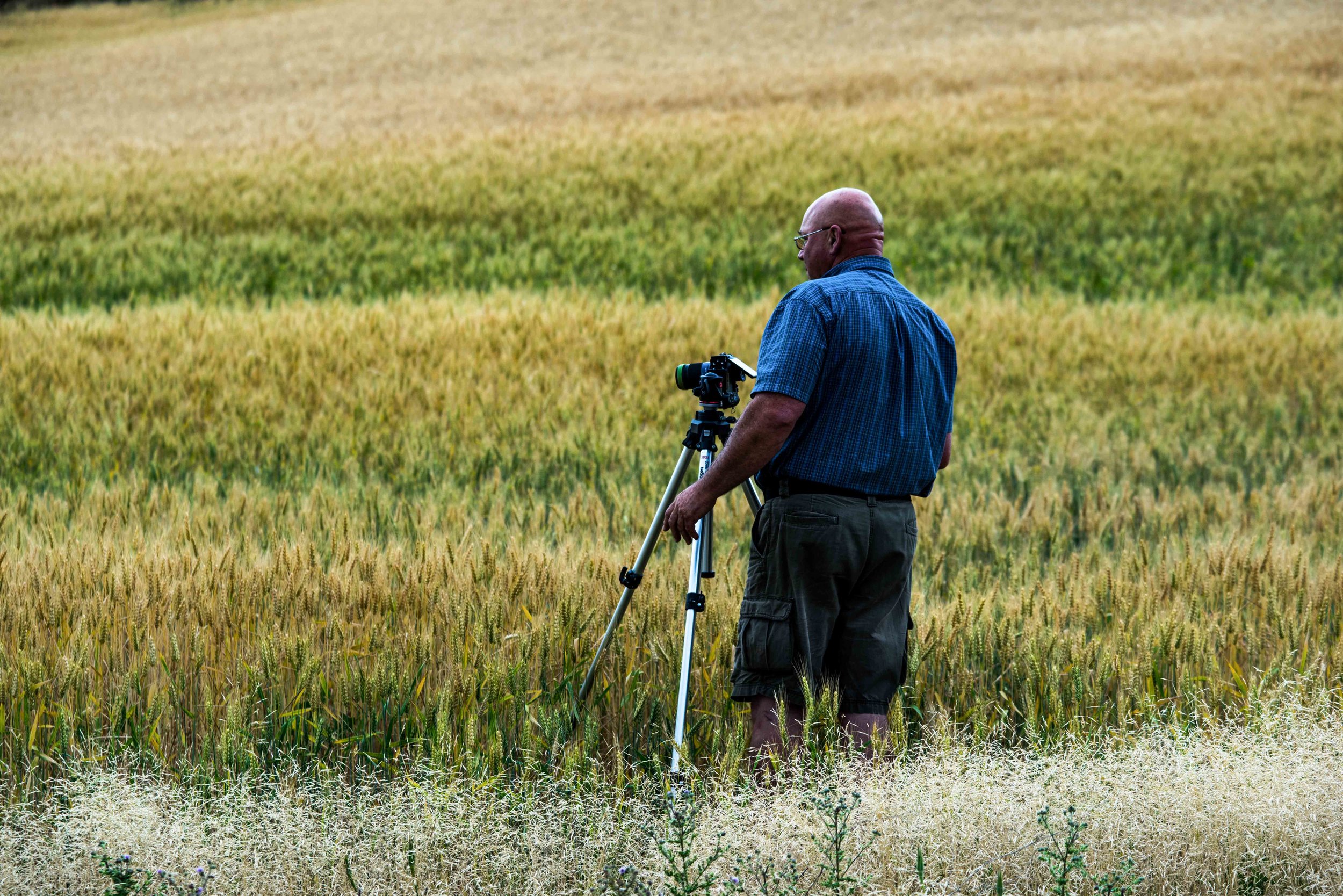 Palouse 5-33.jpg