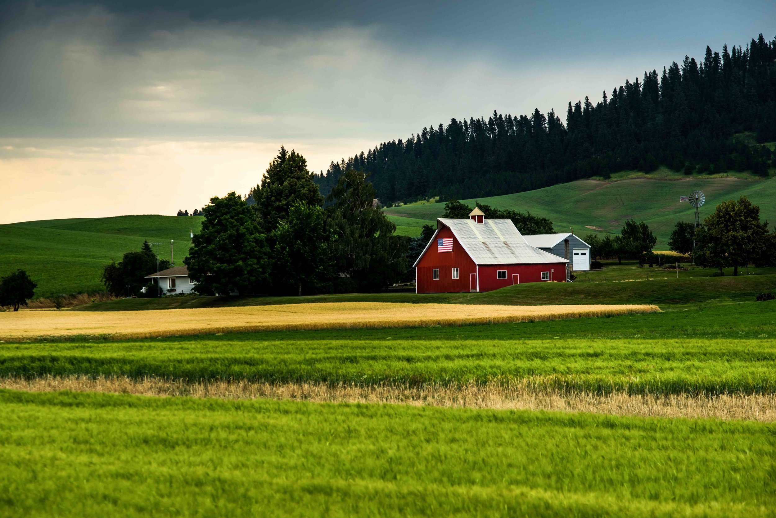 Palouse 5-40.jpg