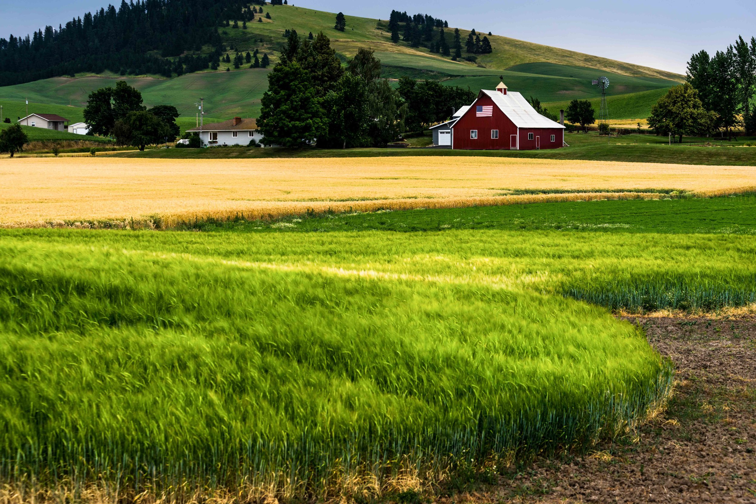 Palouse 5-41.jpg