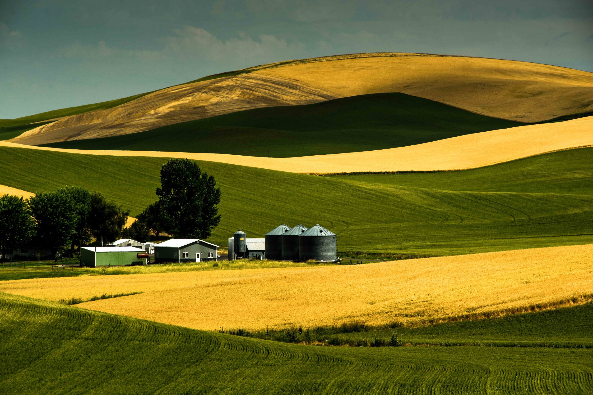 Palouse 5-47.jpg