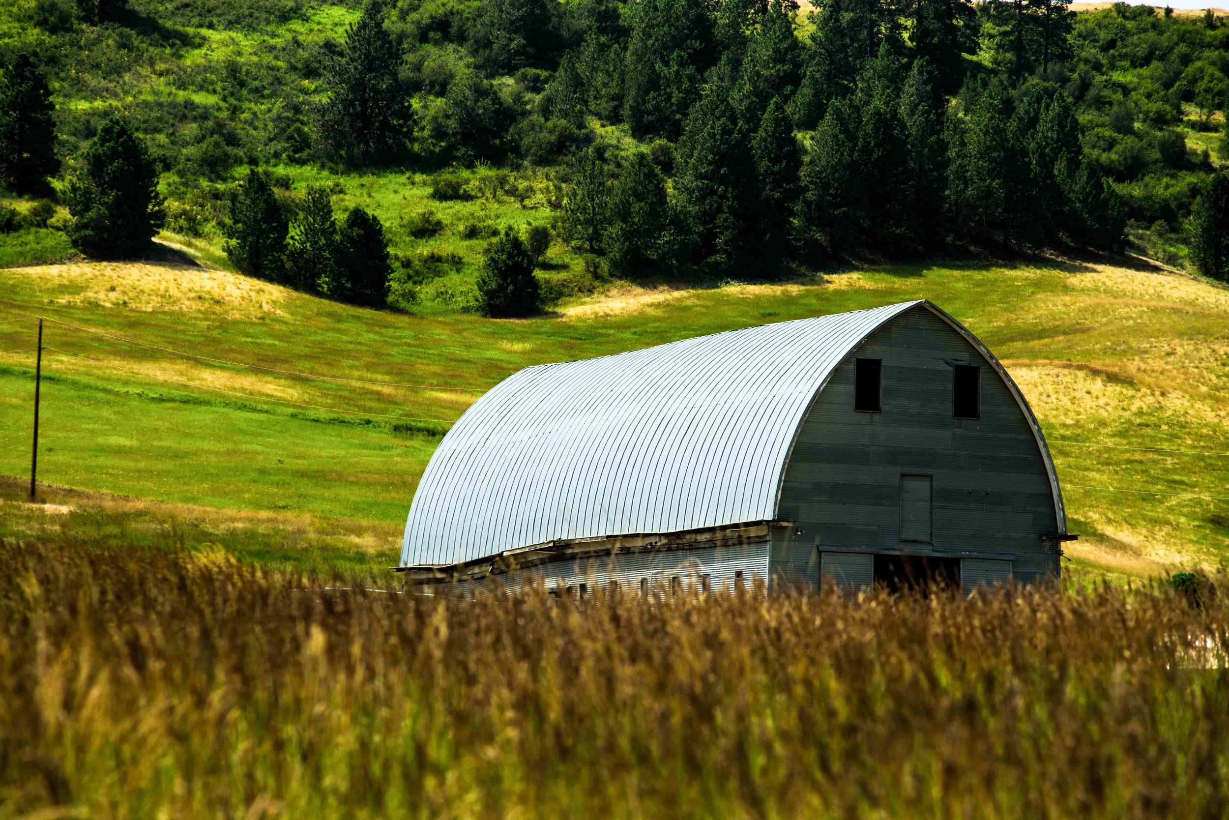 Palouse 5-49.jpg