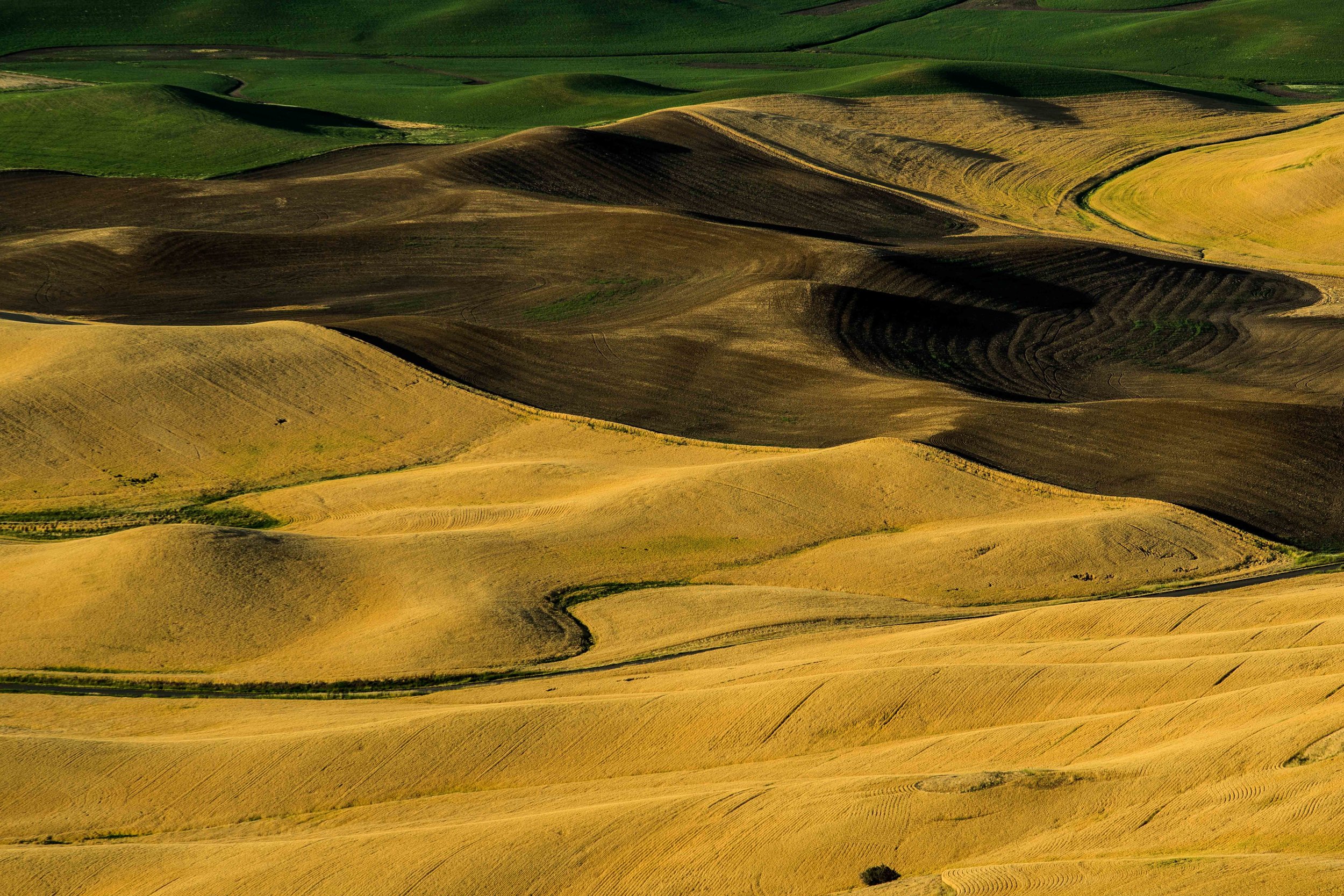 Palouse 5-69.jpg