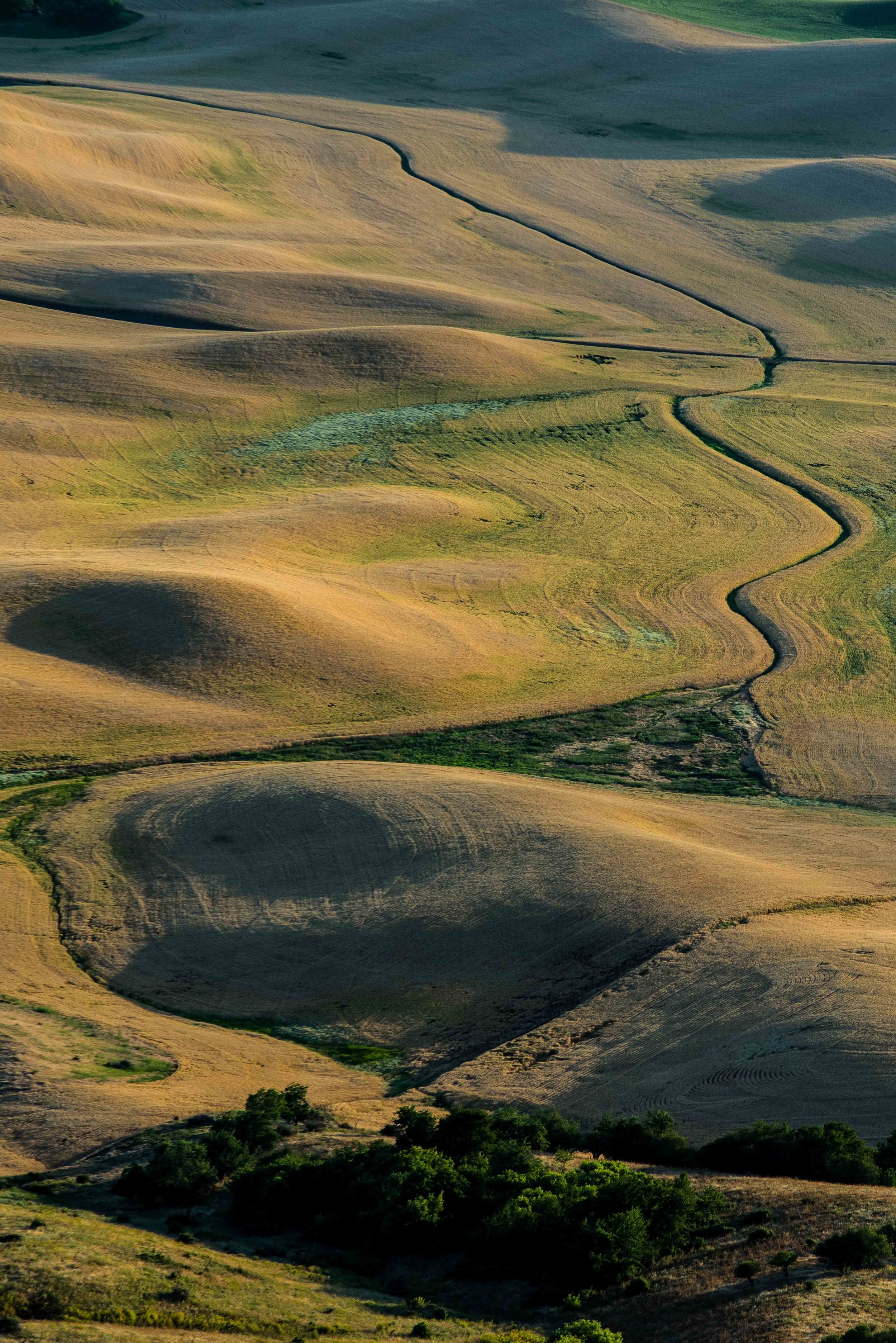 Palouse 5-83.jpg