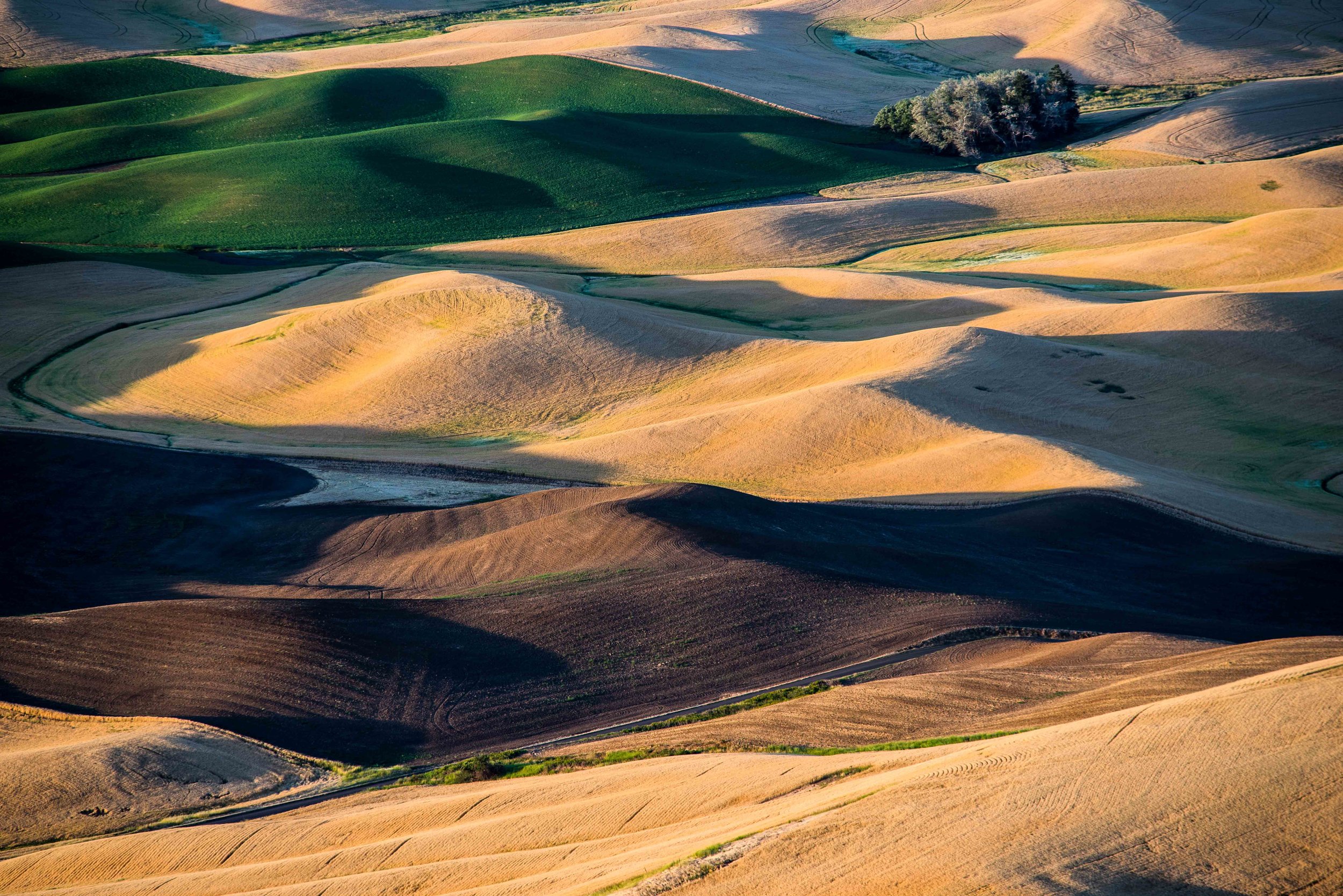 Palouse 5-97.jpg