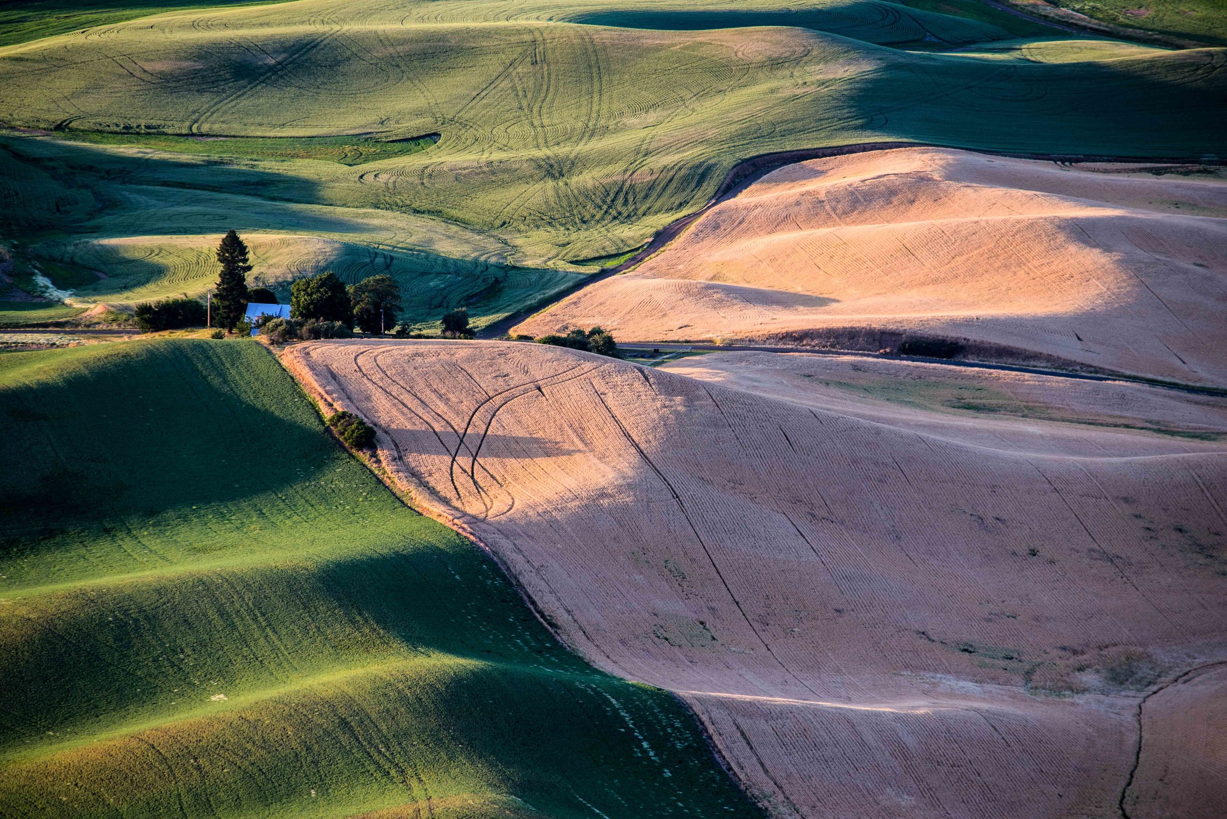 Palouse 5-98.jpg