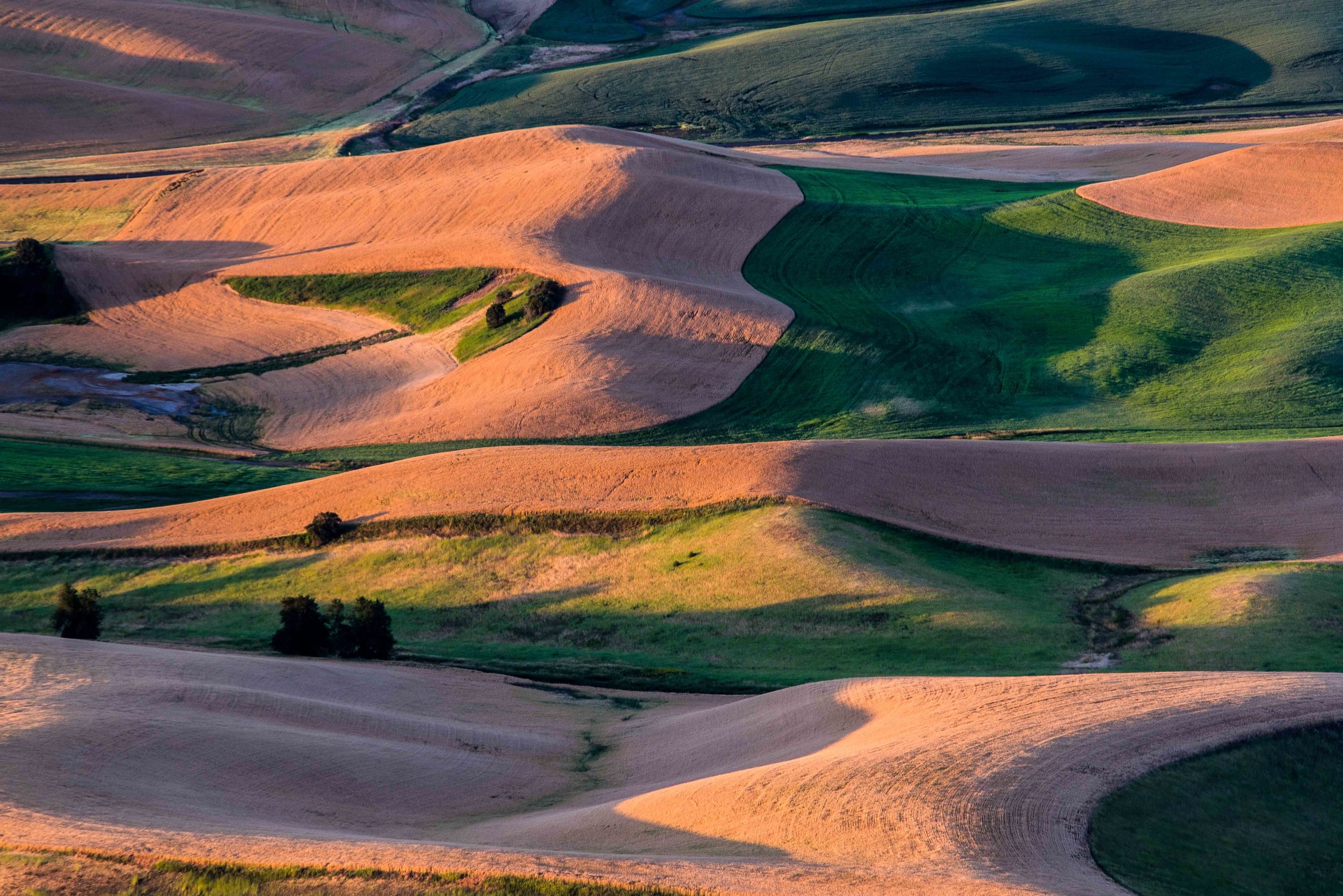 Palouse 5-108.jpg