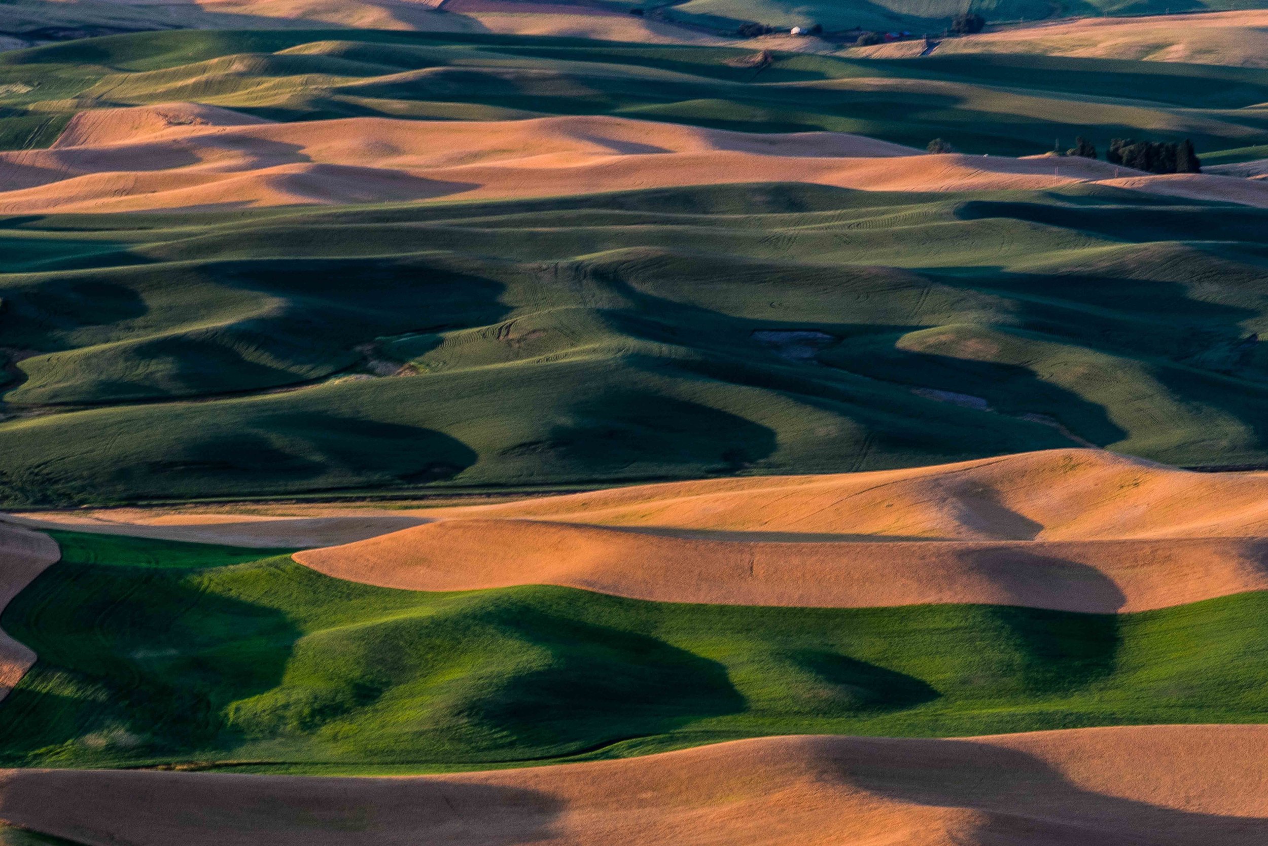 Palouse 5-114.jpg