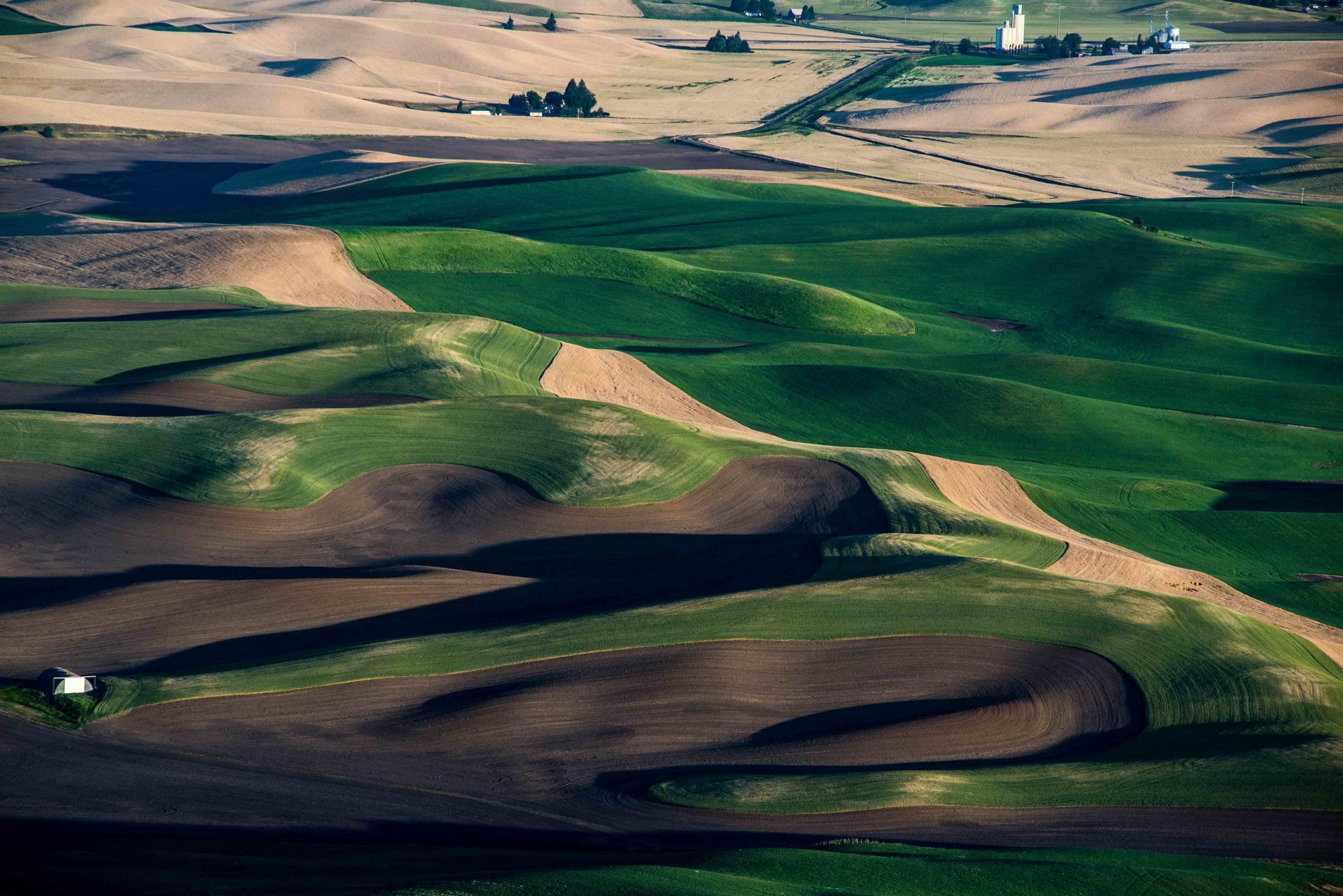 Palouse 5-119.jpg