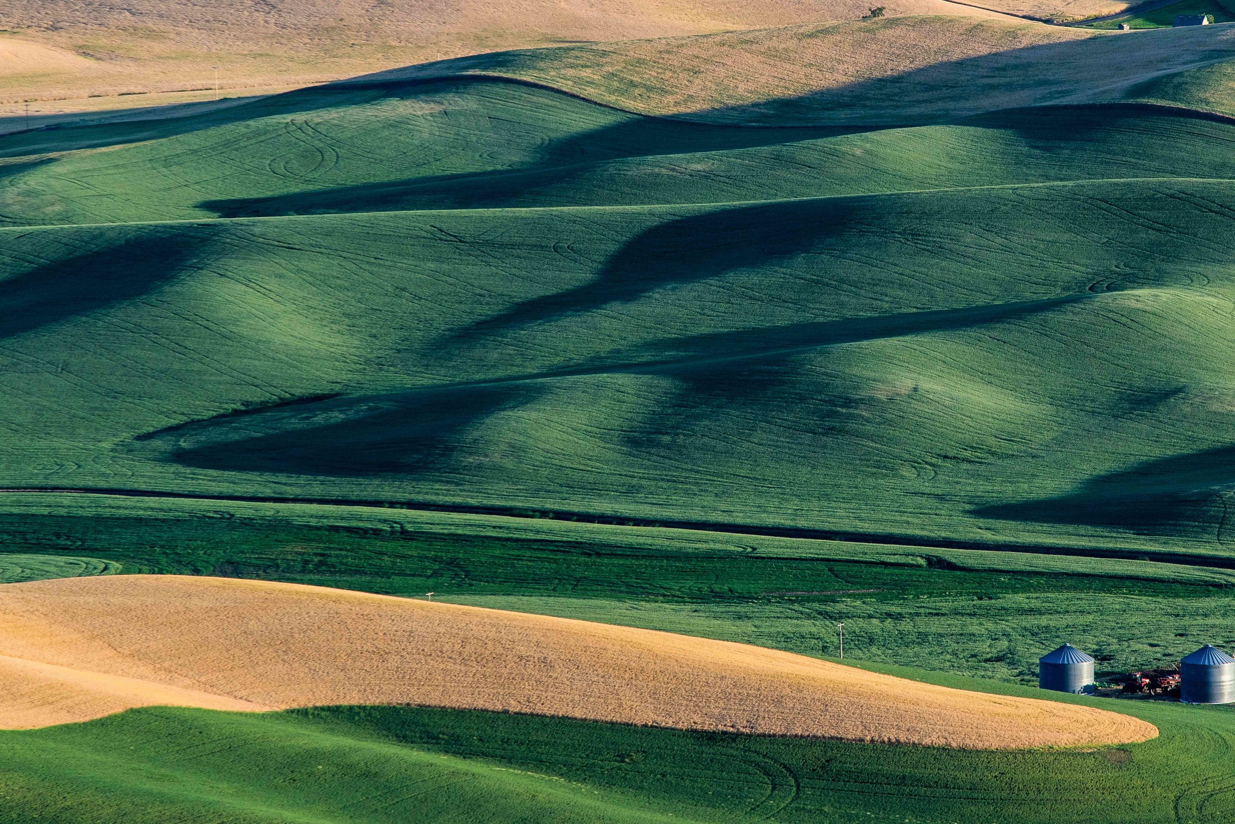 Palouse 5-122.jpg