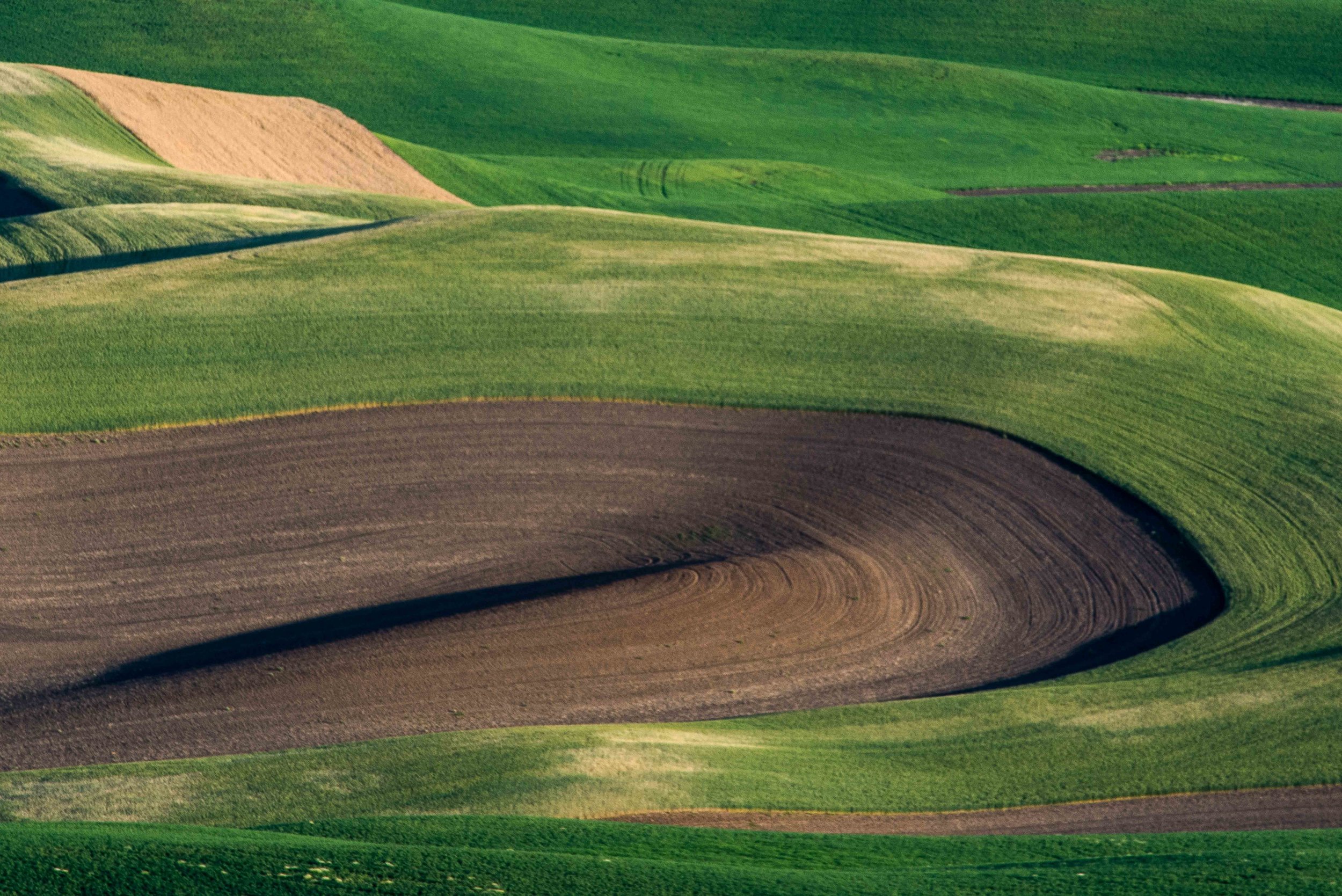 Palouse 5-131.jpg