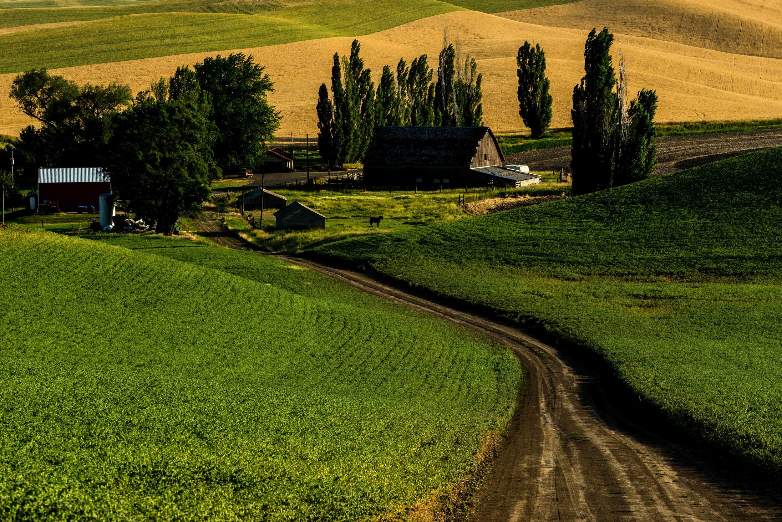 Palouse 5-139.jpg