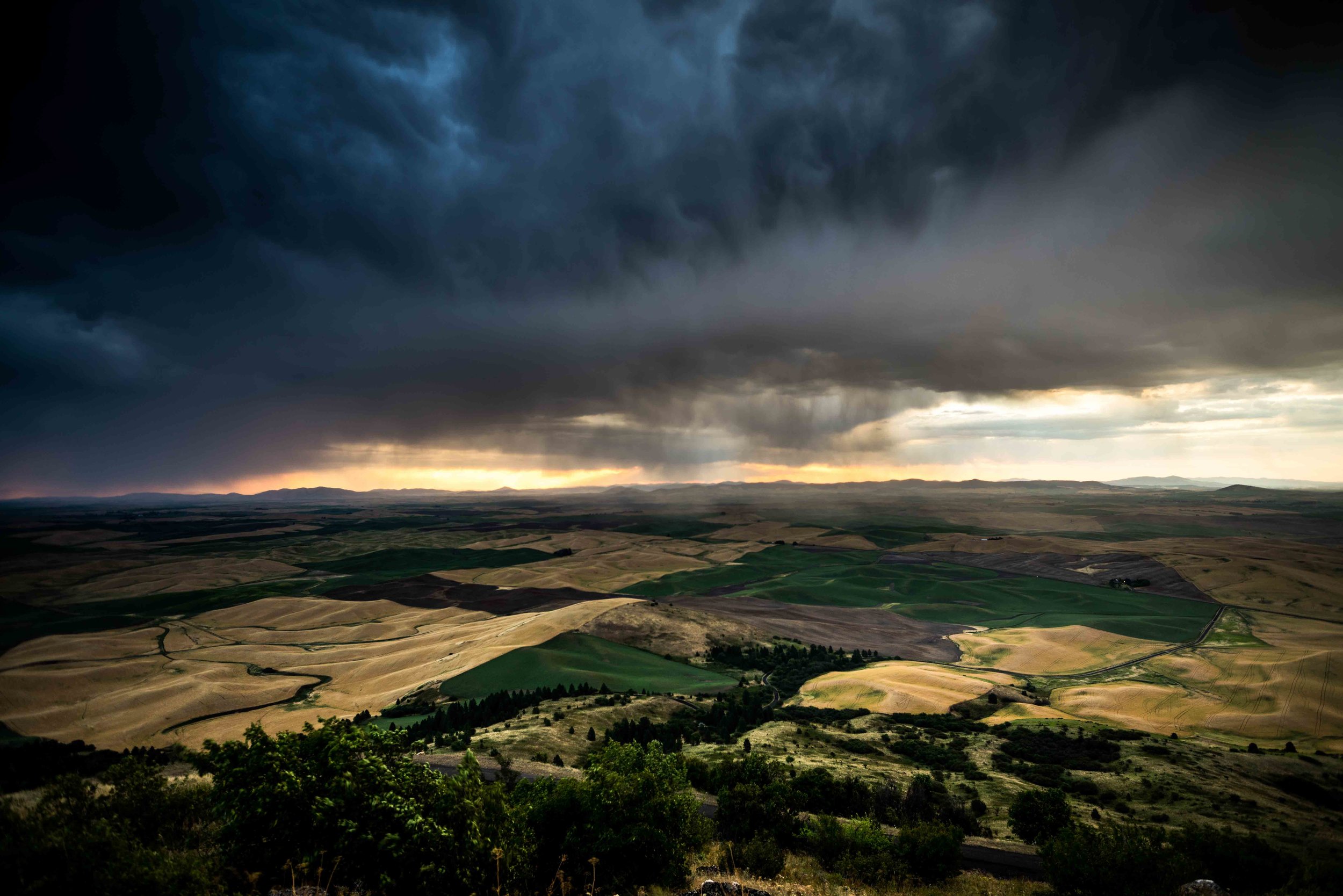 Palouse 5-3.jpg