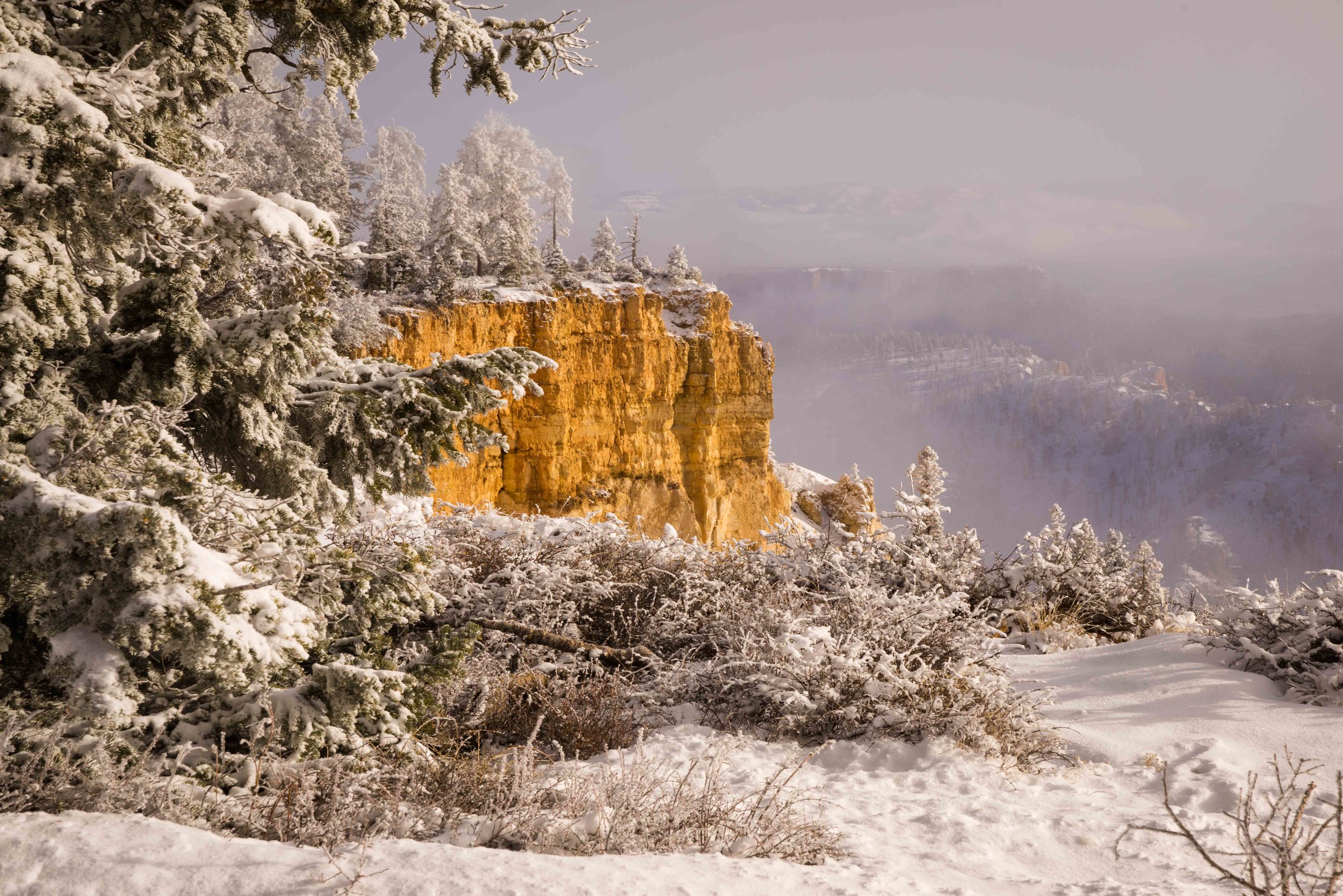 Bryce Canyon_-11.jpg