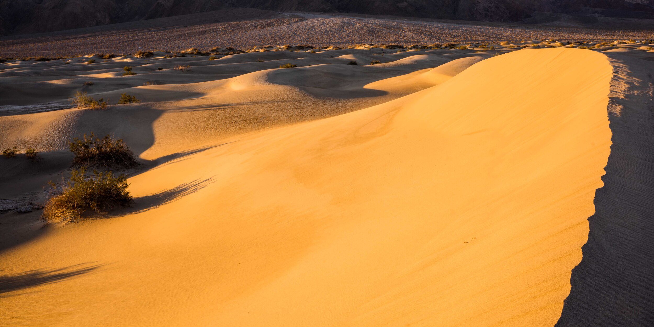 Death Valley 2019-7.jpg