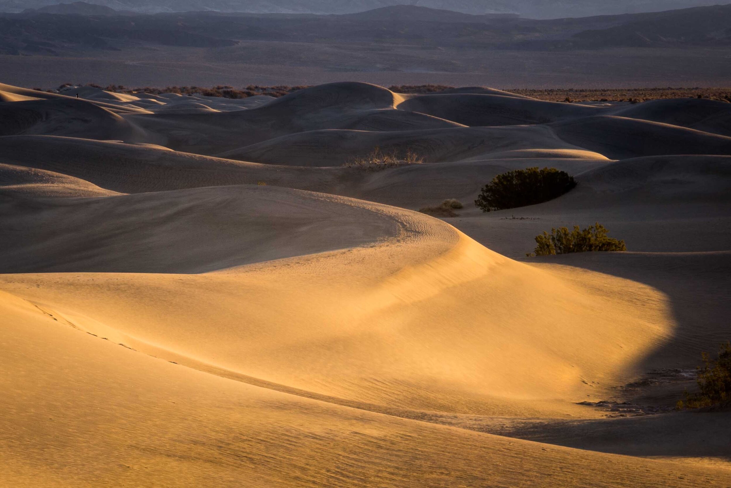 Death Valley 2019-10.jpg
