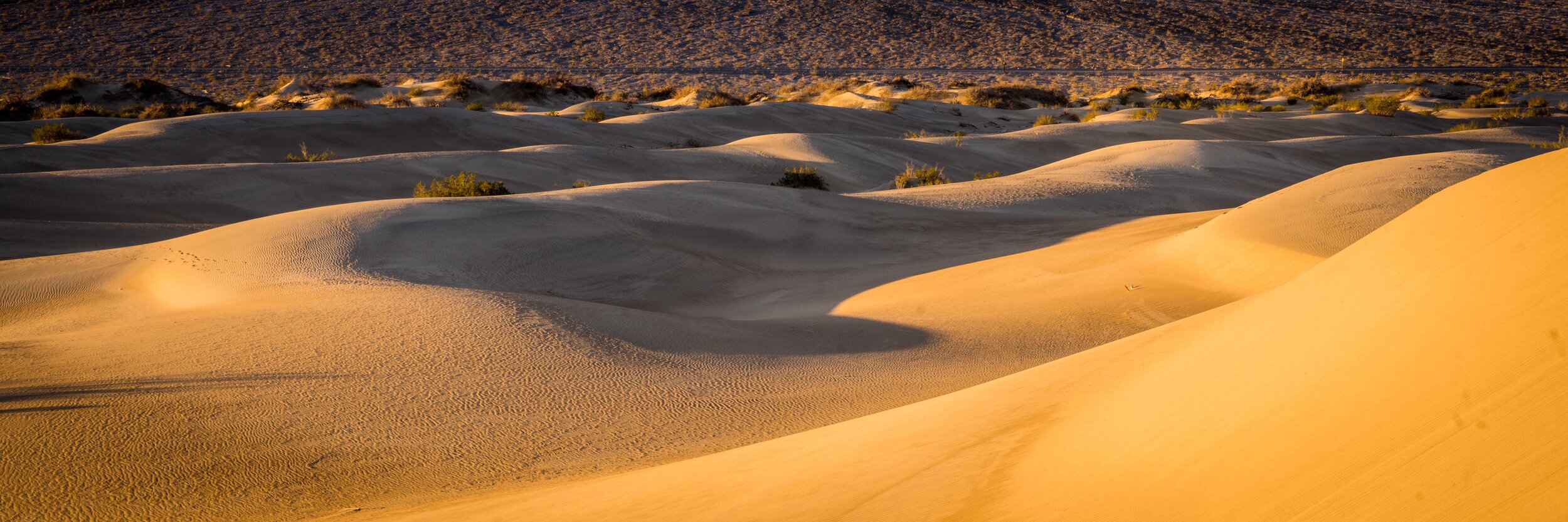 Death Valley 2019-9.jpg