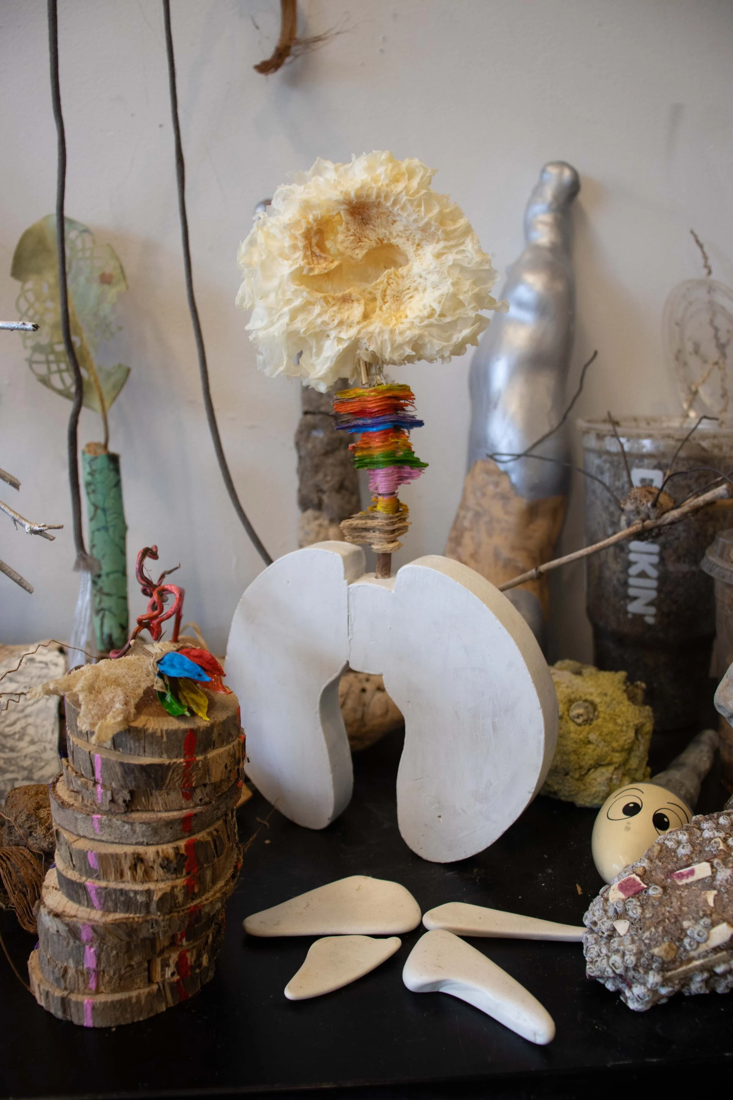 VertFungus head.jpg