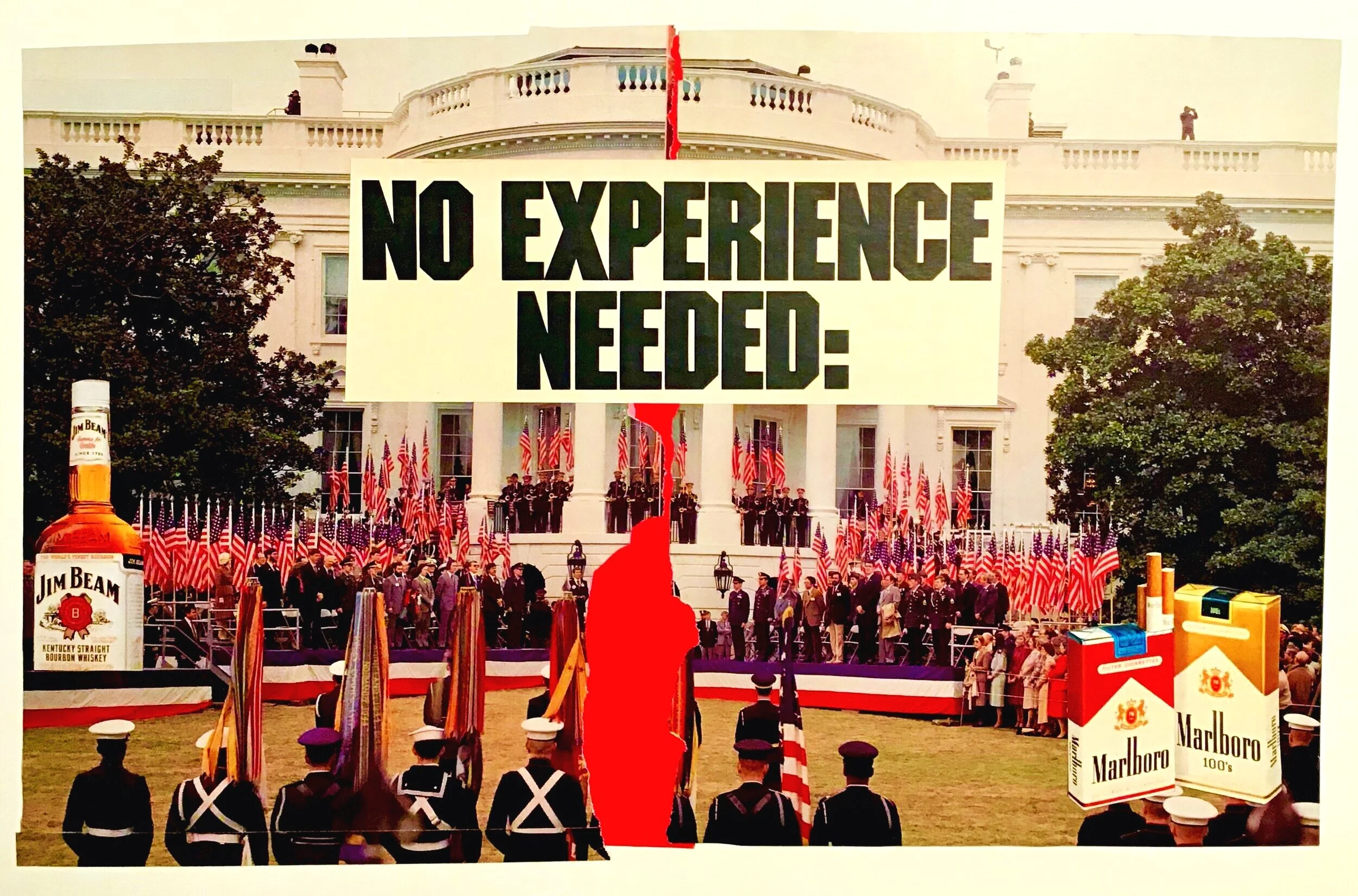 No Experience Needed