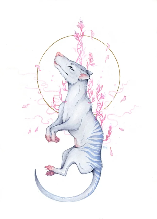 thylacine_medium.jpg