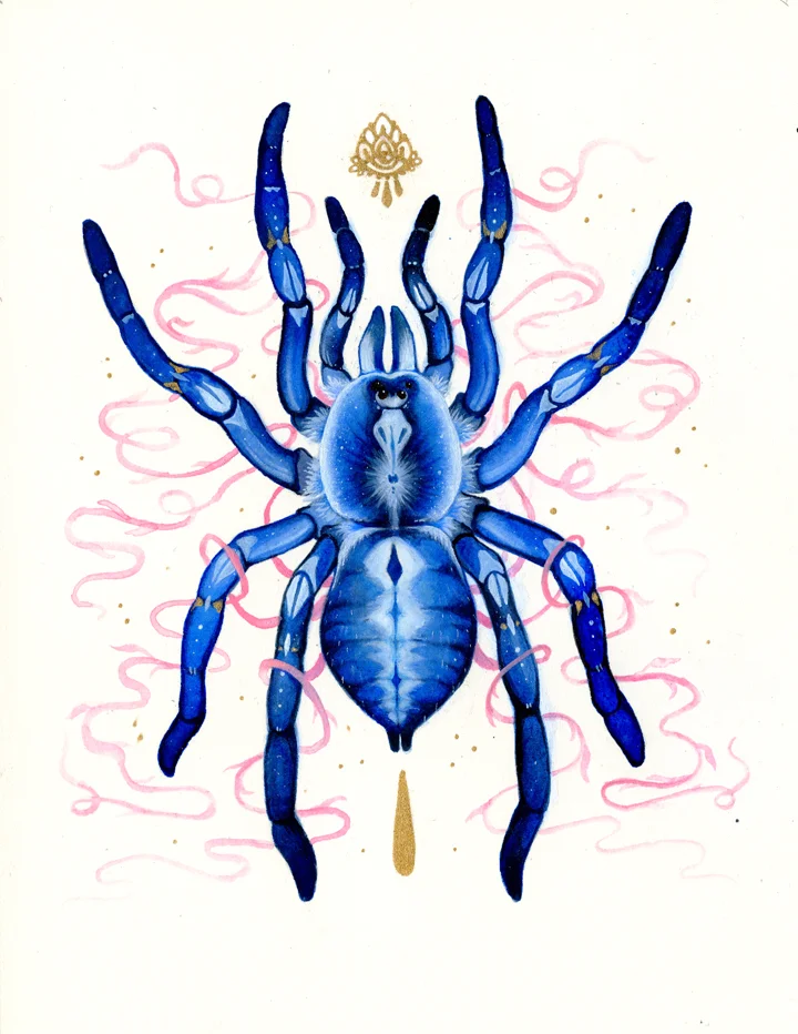 gootytarantula_small.jpg
