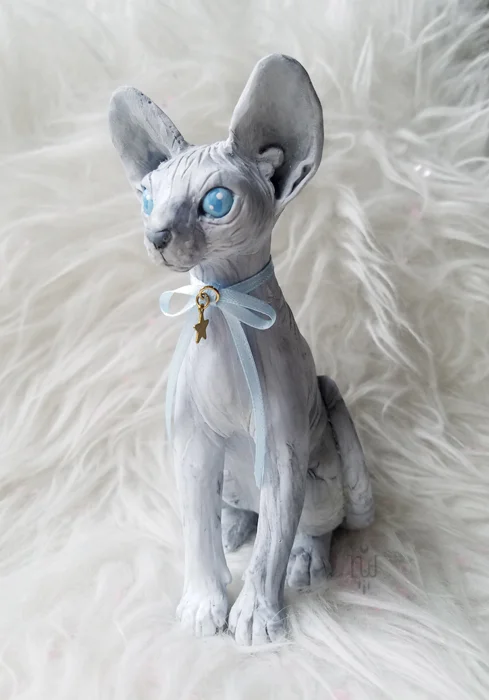 grey sphynx